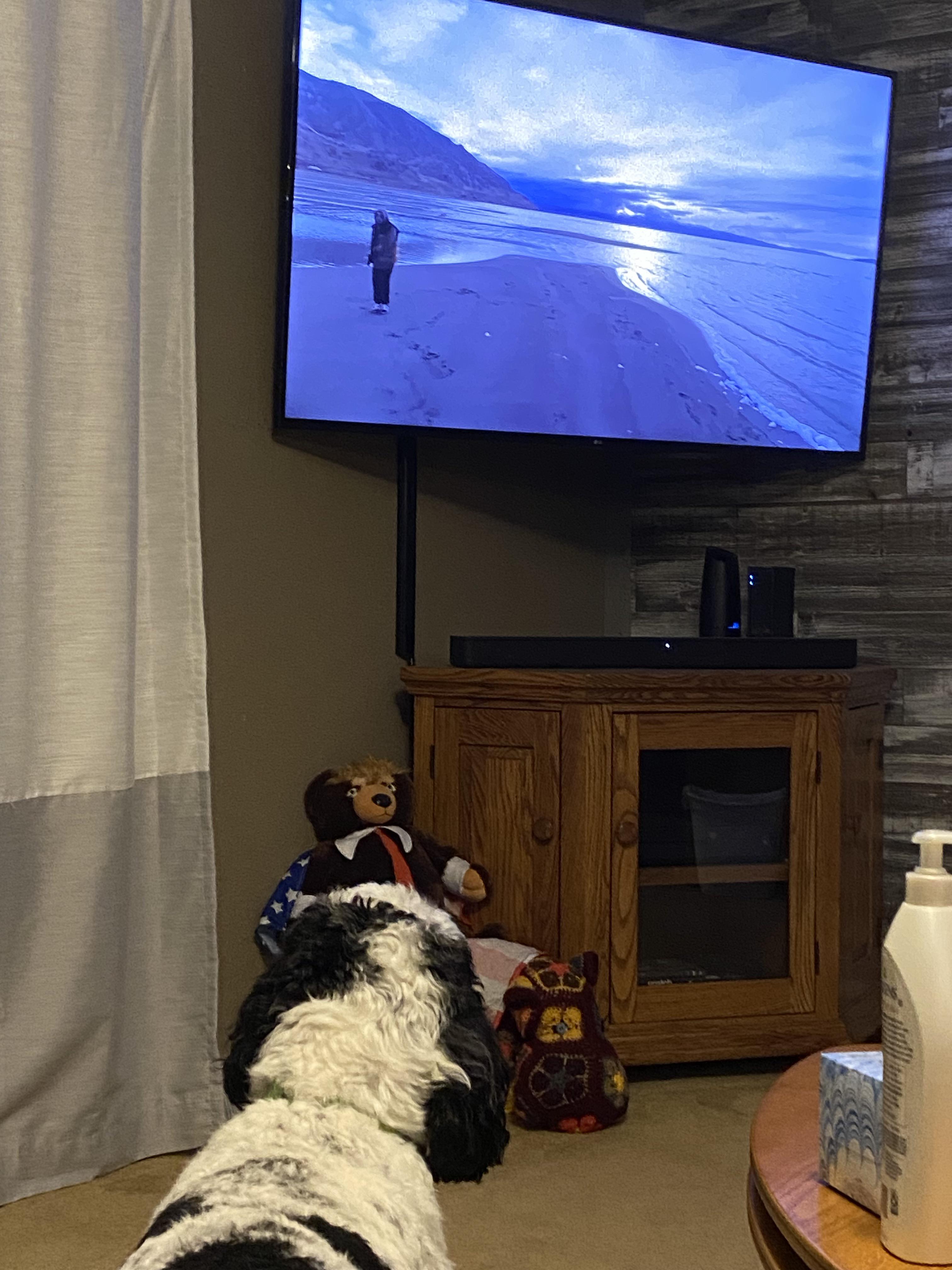 My dog also loves Mac r/MacMiller