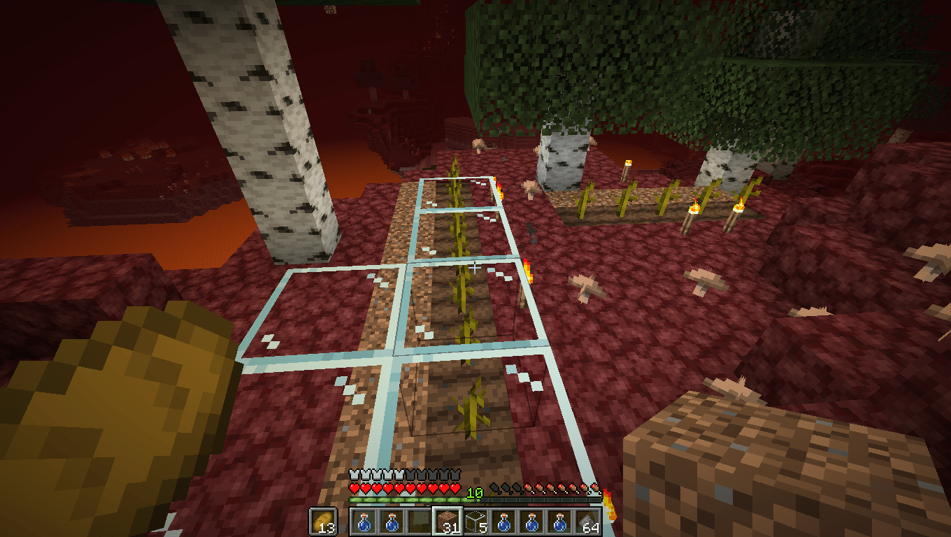 Anybody know why my melons aren't growing? Minecraft