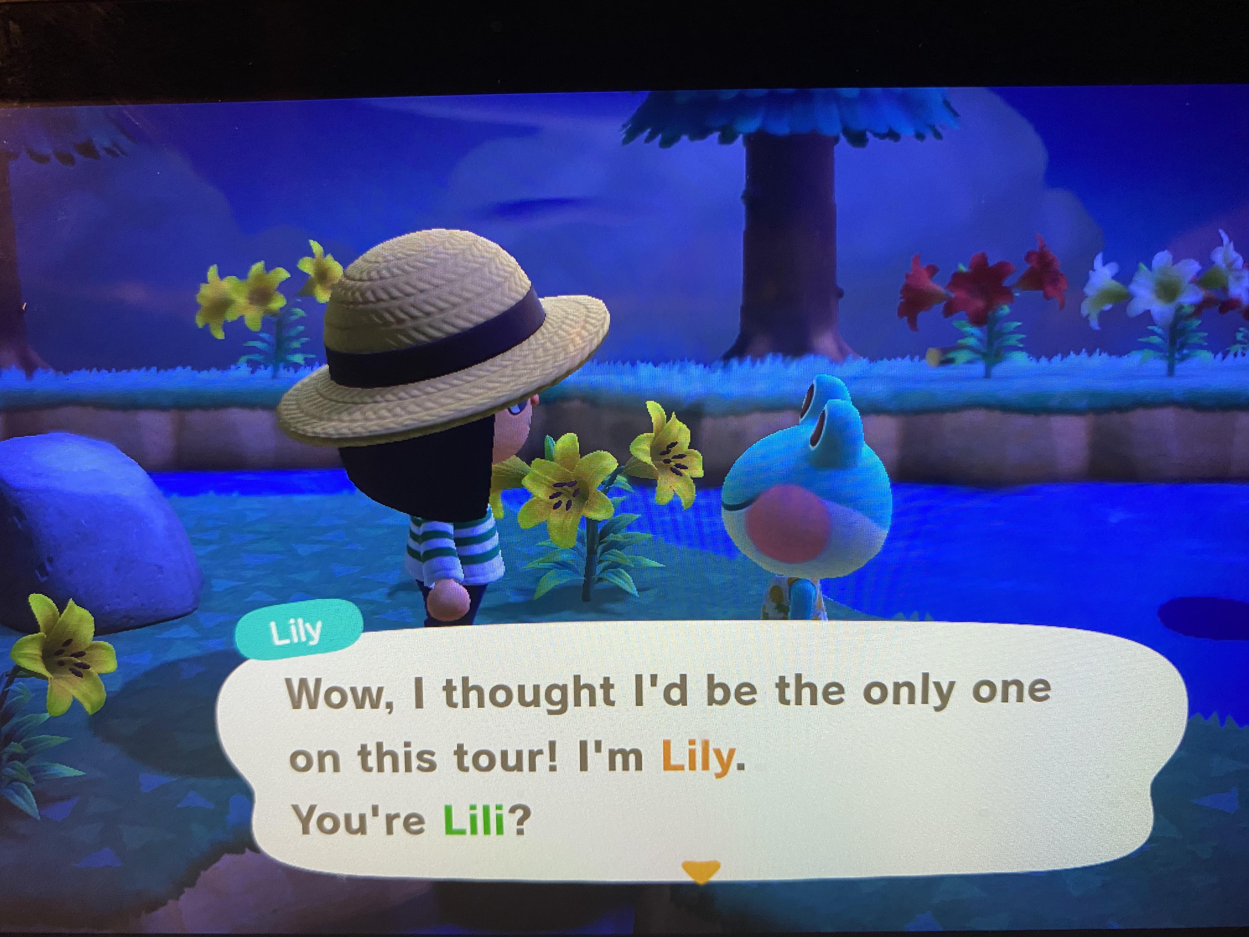Two Lili(y)‘s surrounded by lilies r/AnimalCrossing