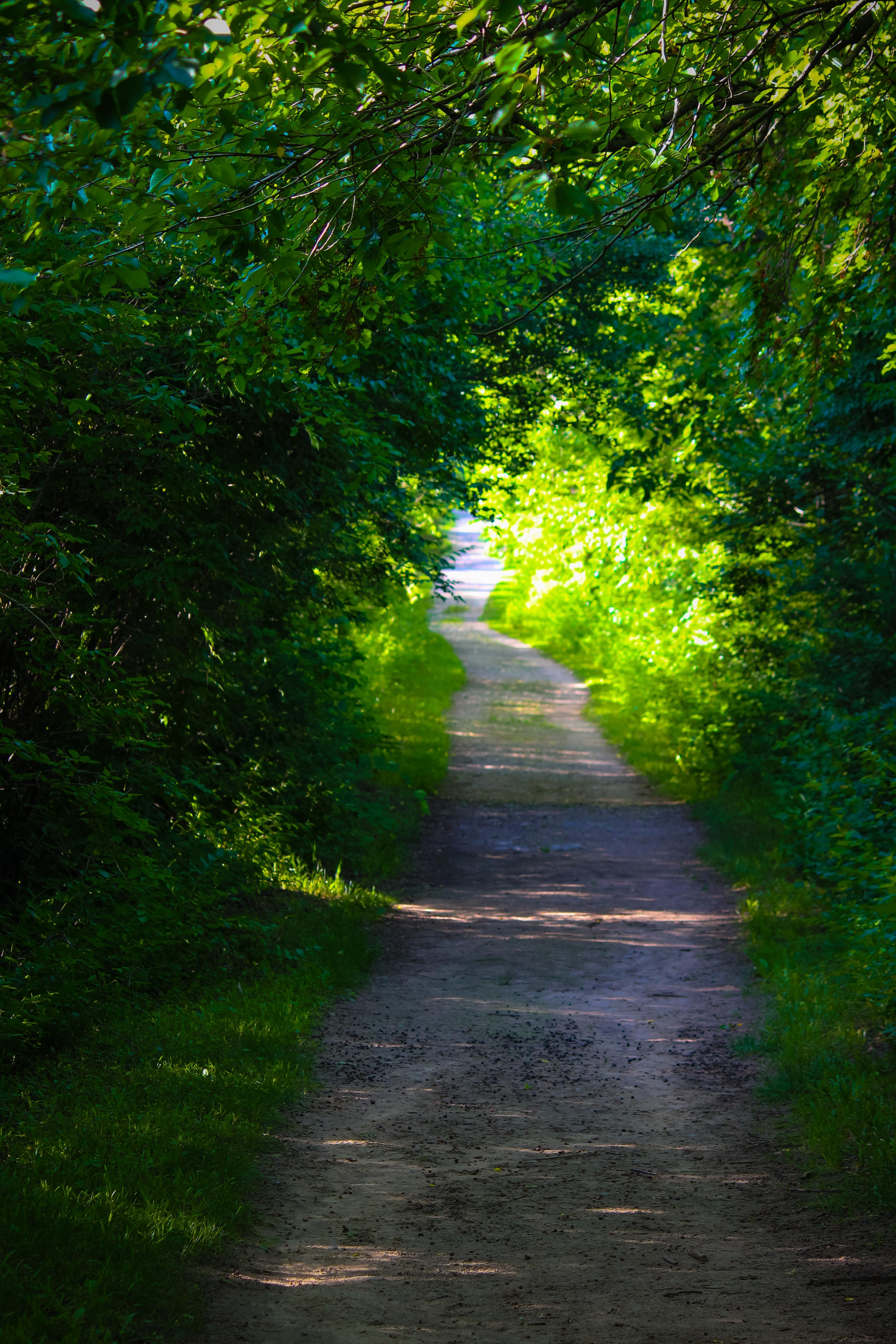 Castalia Quarry, Castalia, OH. [3456 X 5184] [OC] r/EarthPorn