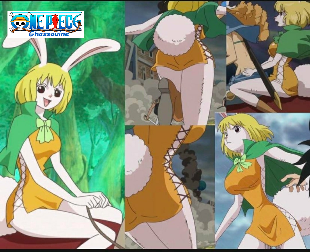 One Piece Carrot Meme at Pearline Beard blog