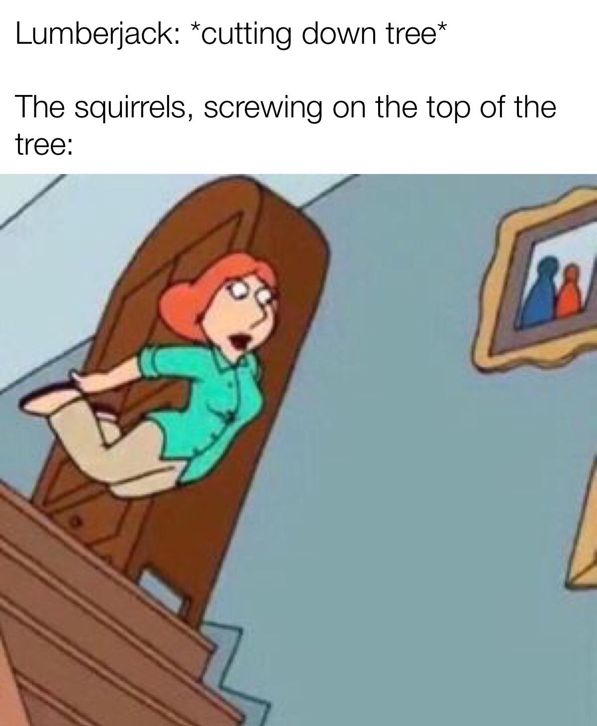 Squirrel died from fall damage. r/memes