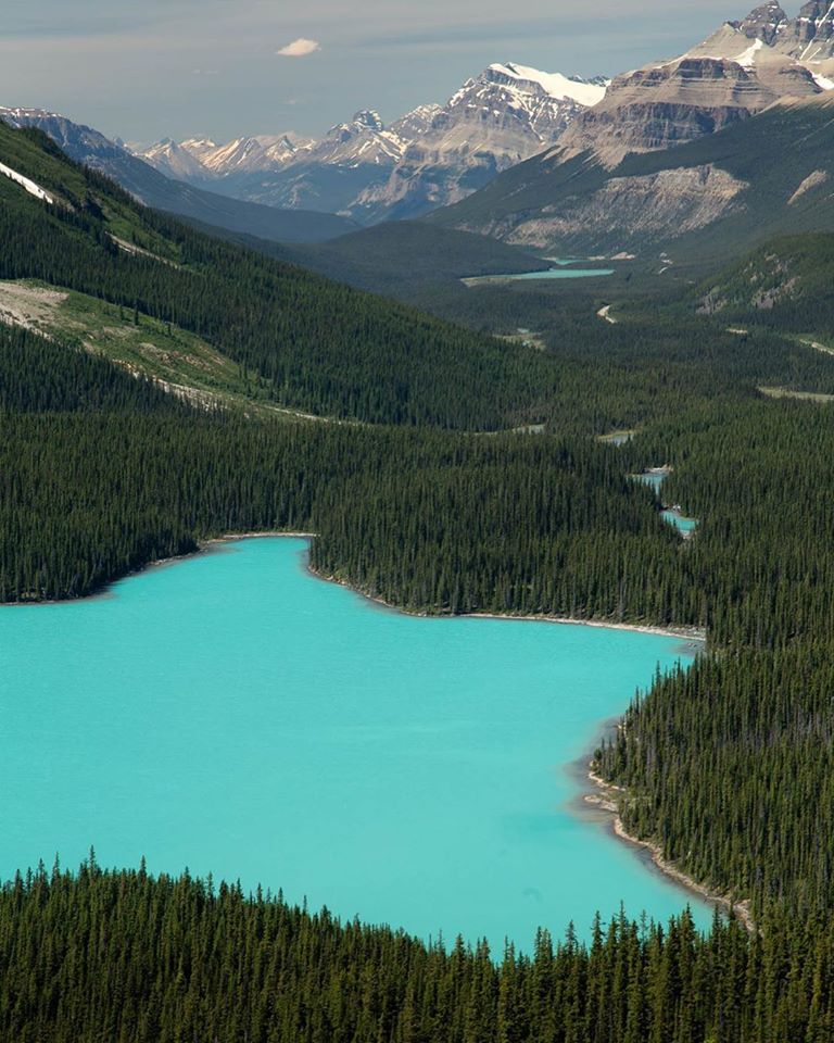 Turquoise lake in the Canadian Rockies r/oddlysatisfying