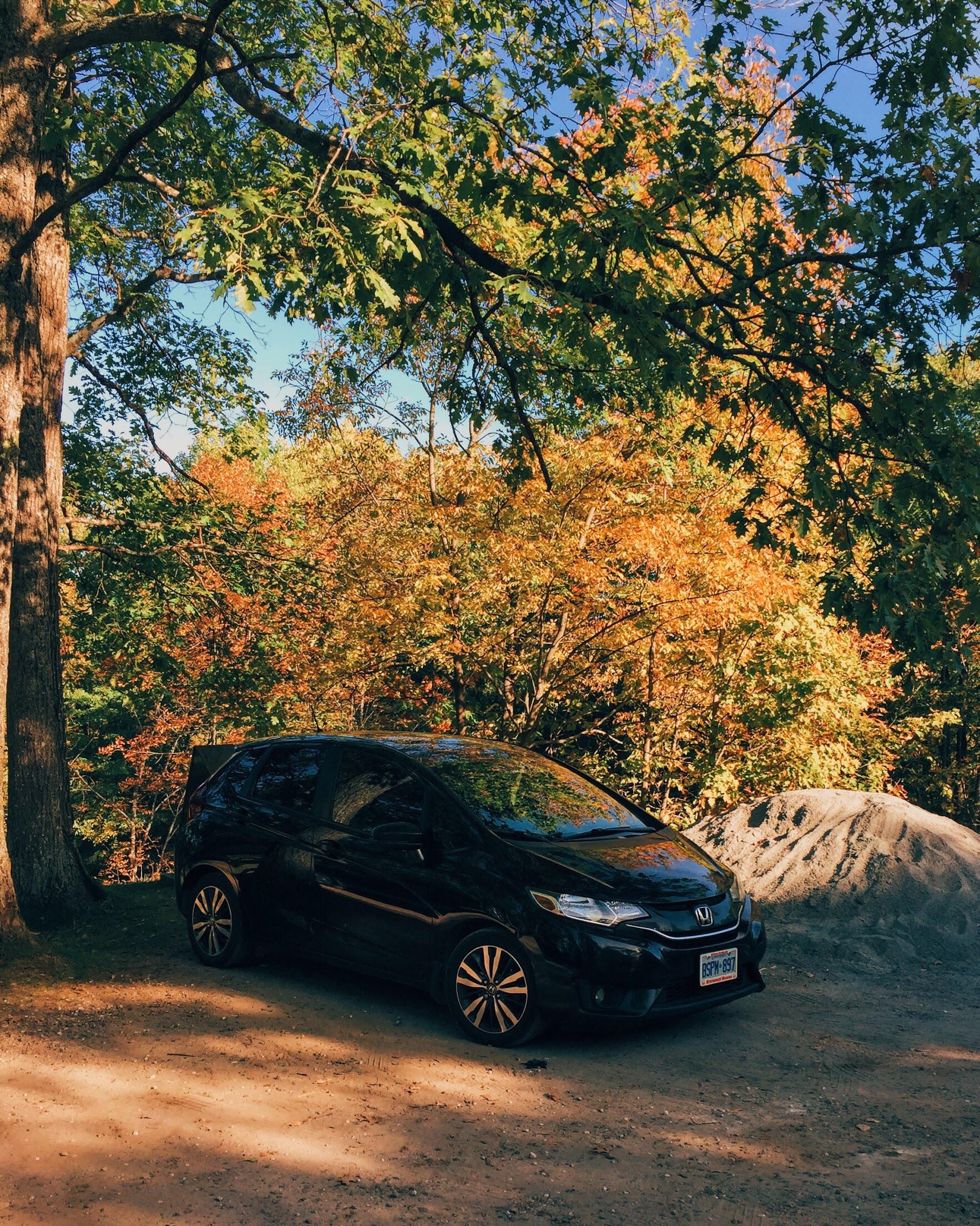 Has anyone done a timing chain change on the third generation Honda Fit