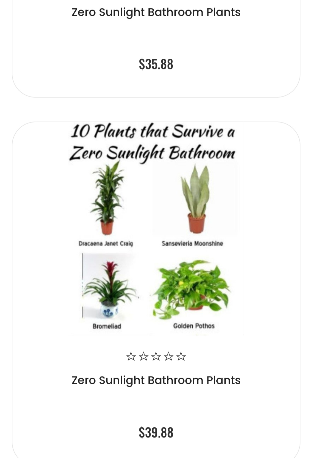I hate this so much. No plant can survive a zero sunlight environment