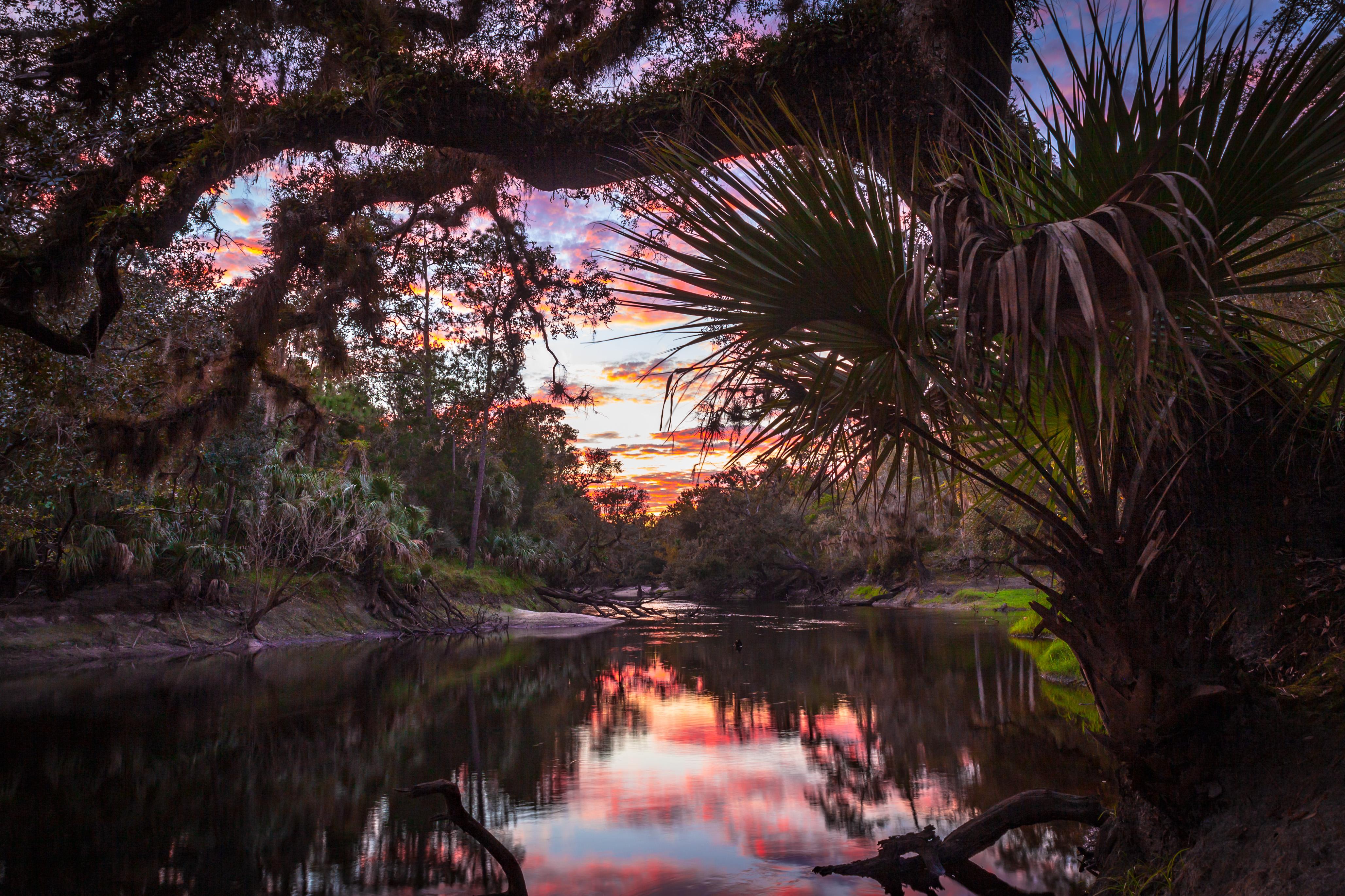 One of Florida's best kept secrets; the Econlockhatchee River [OC