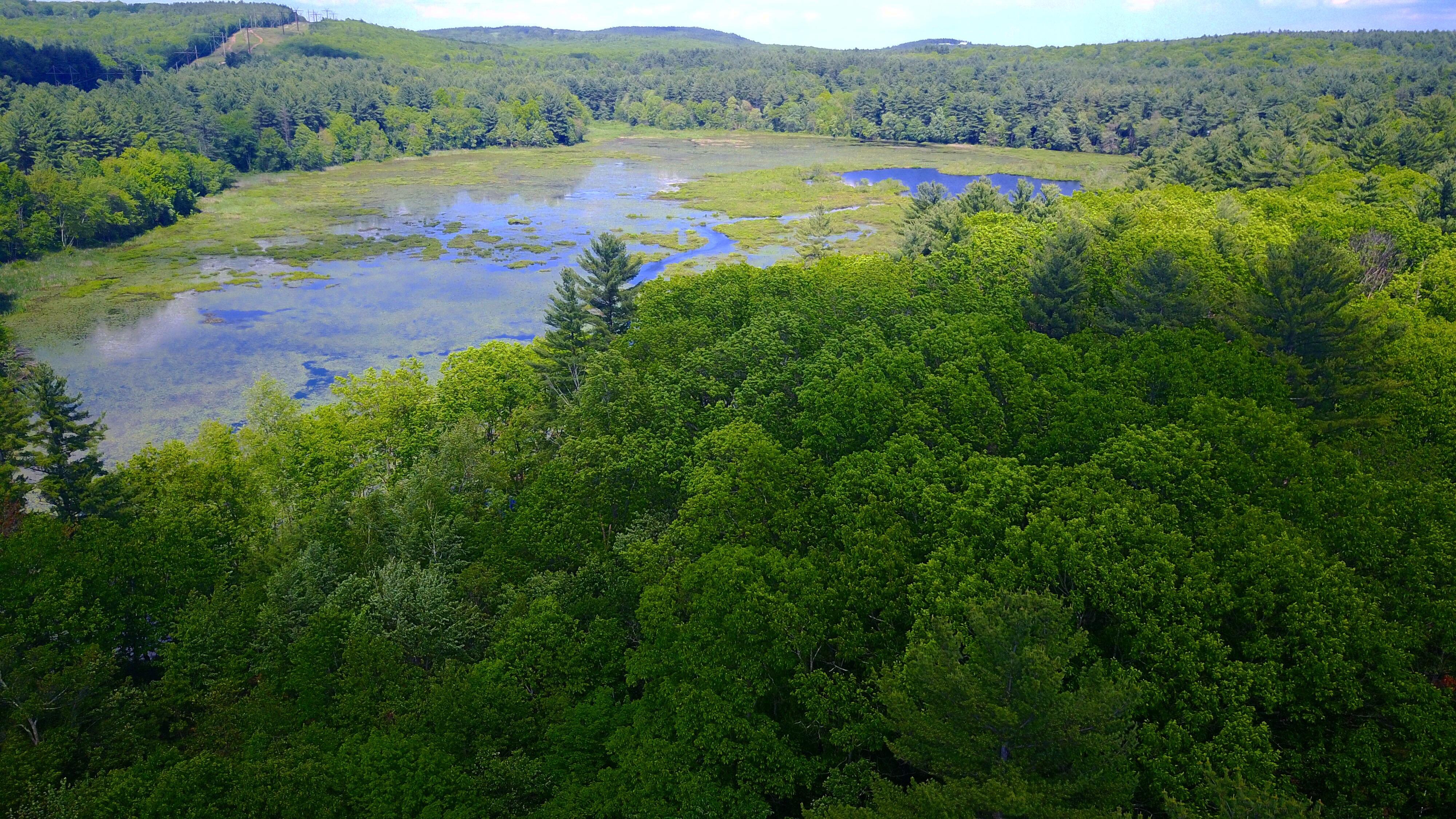 Musquash pond in NH. Taken by DJI Mavic Pro r/drones