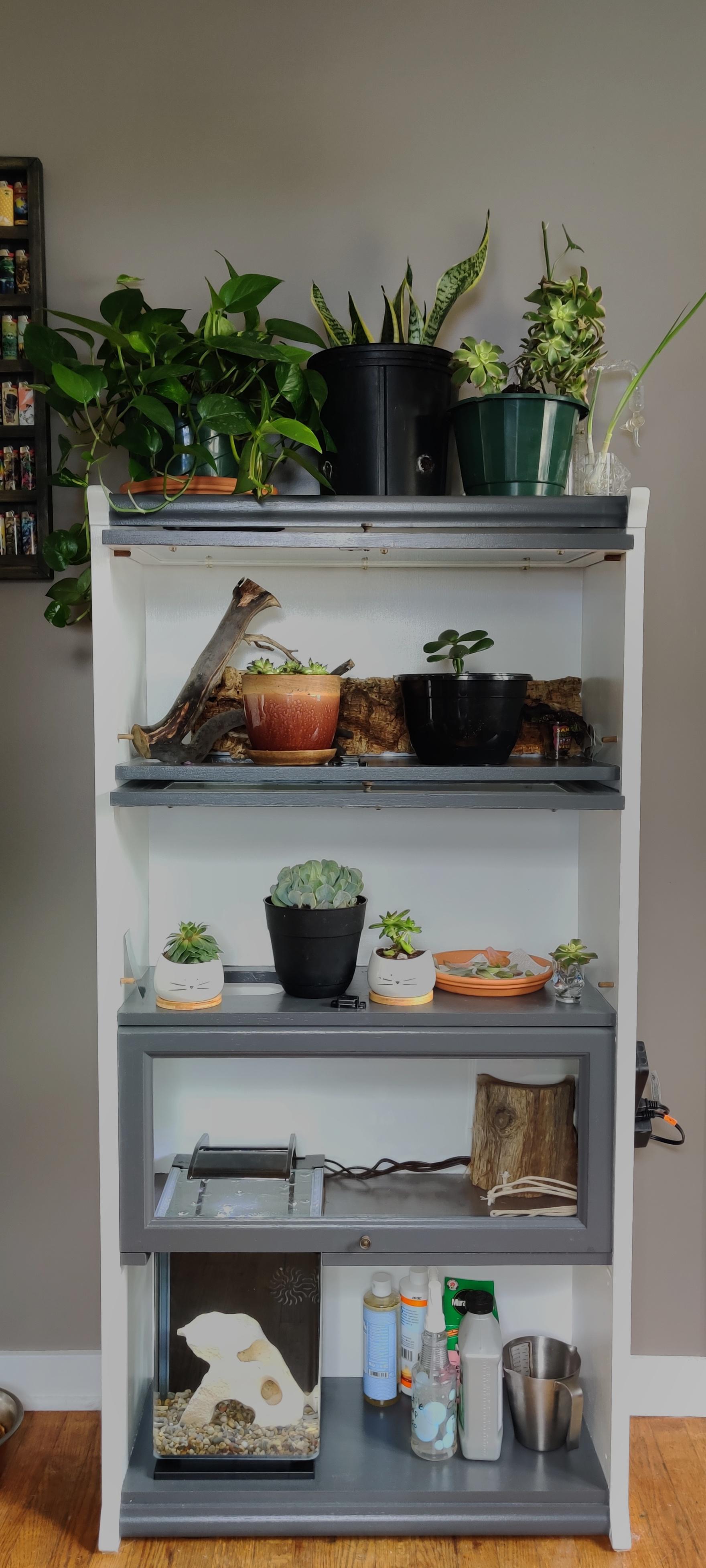 I turned my old bookcase into a mini greenhouse/one stop prop shop. r