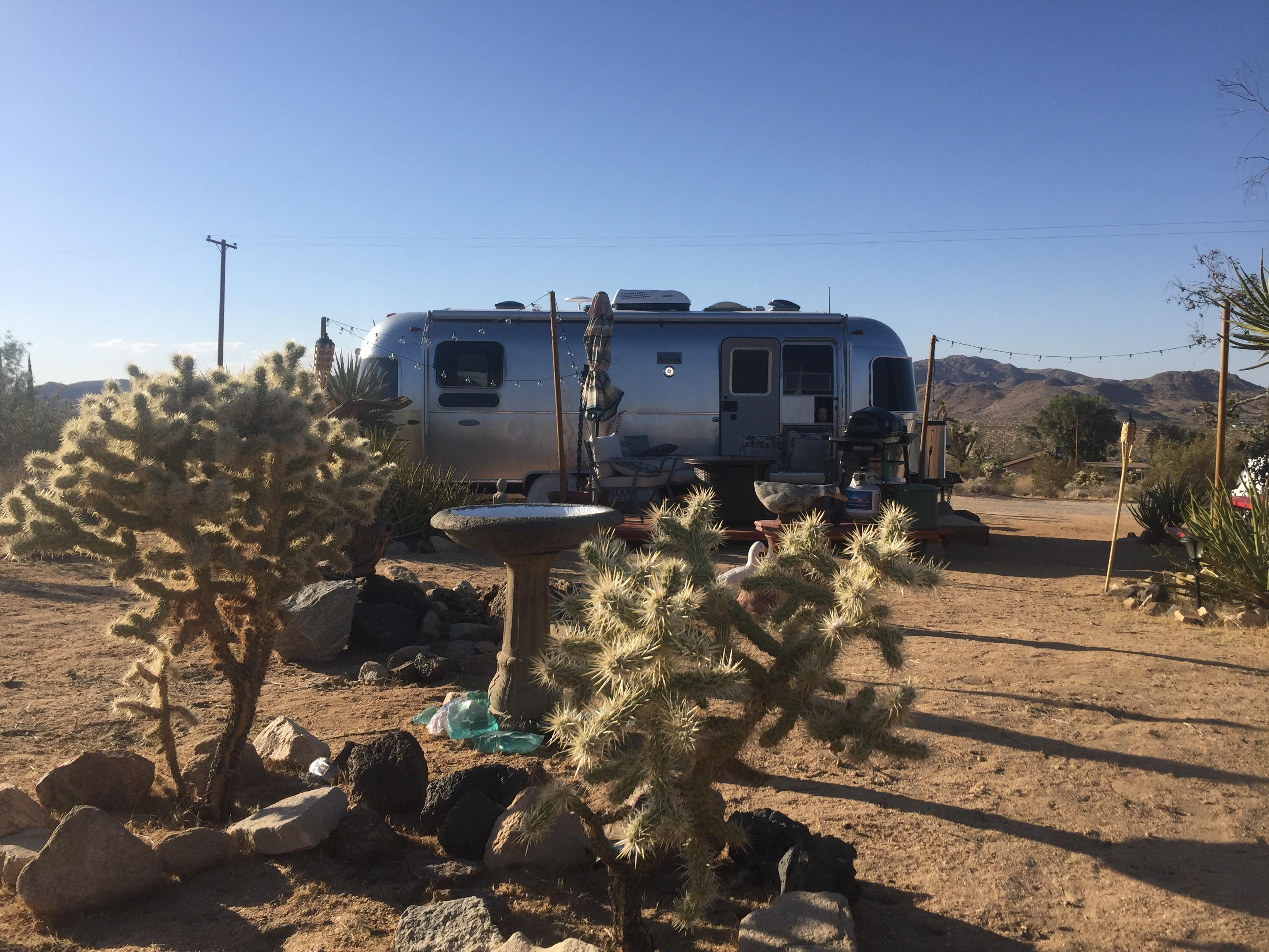 An Airstream in Joshua Tree r/CozyPlaces