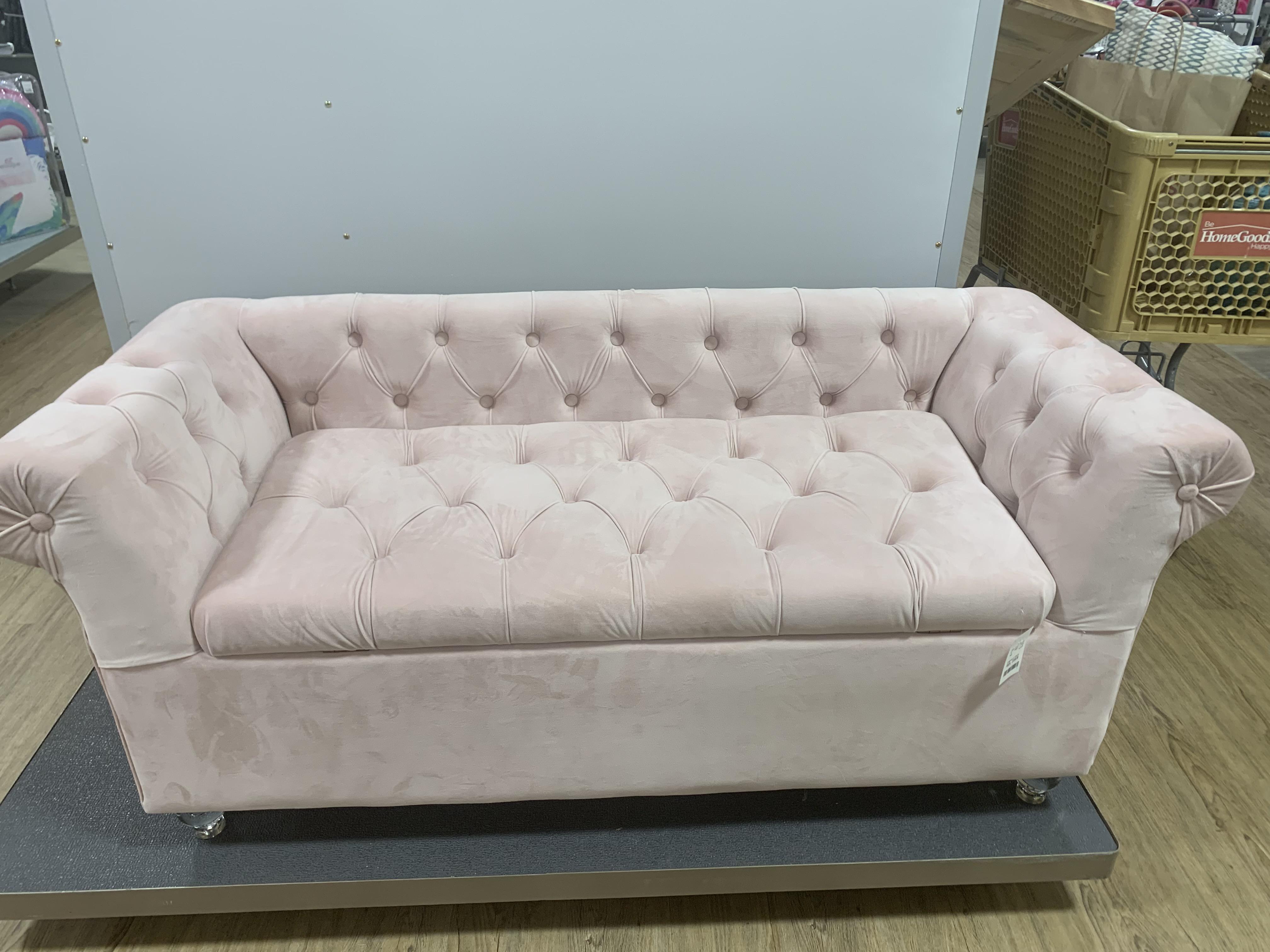 Cutest storage ottoman/mini couch TJ Maxx r/HomeDecorating