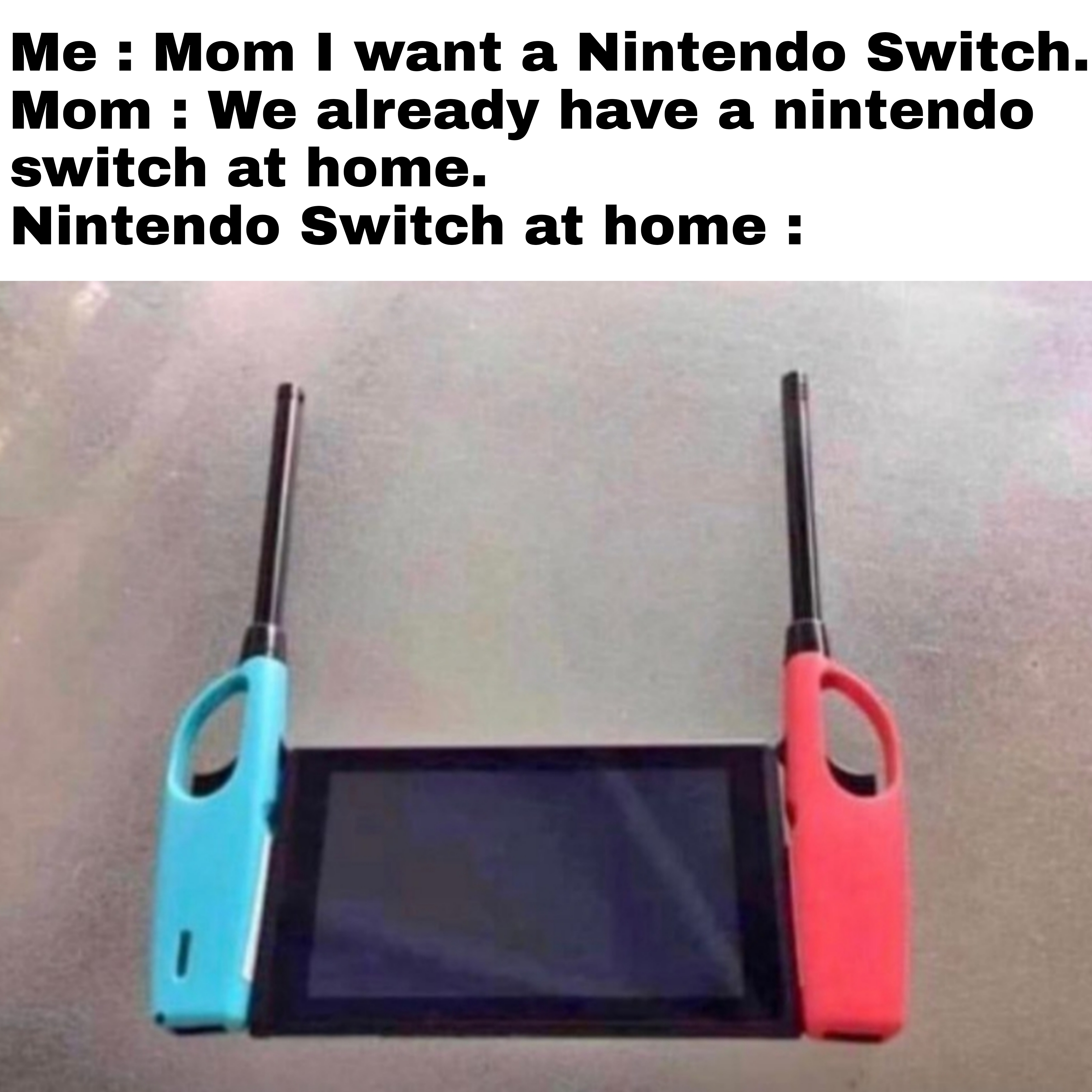 Nintendo Switch at home r/meme
