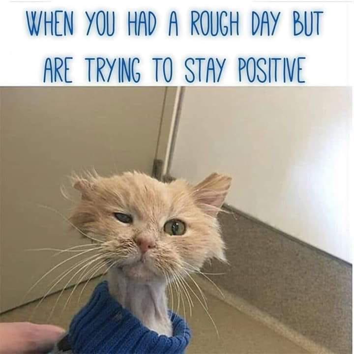 Having a bad day jacksepticeye