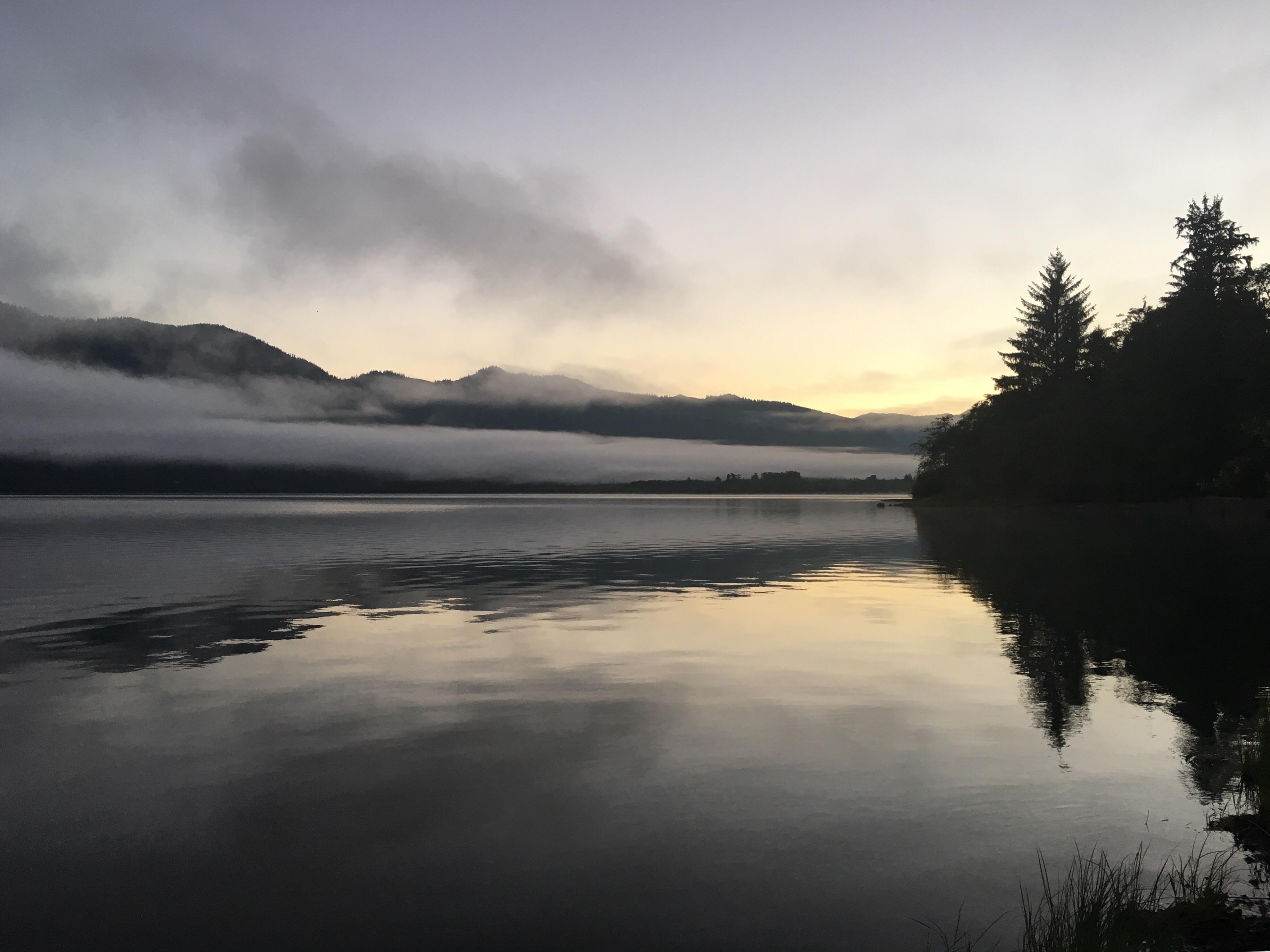 Lake Quinault, WA r/pics