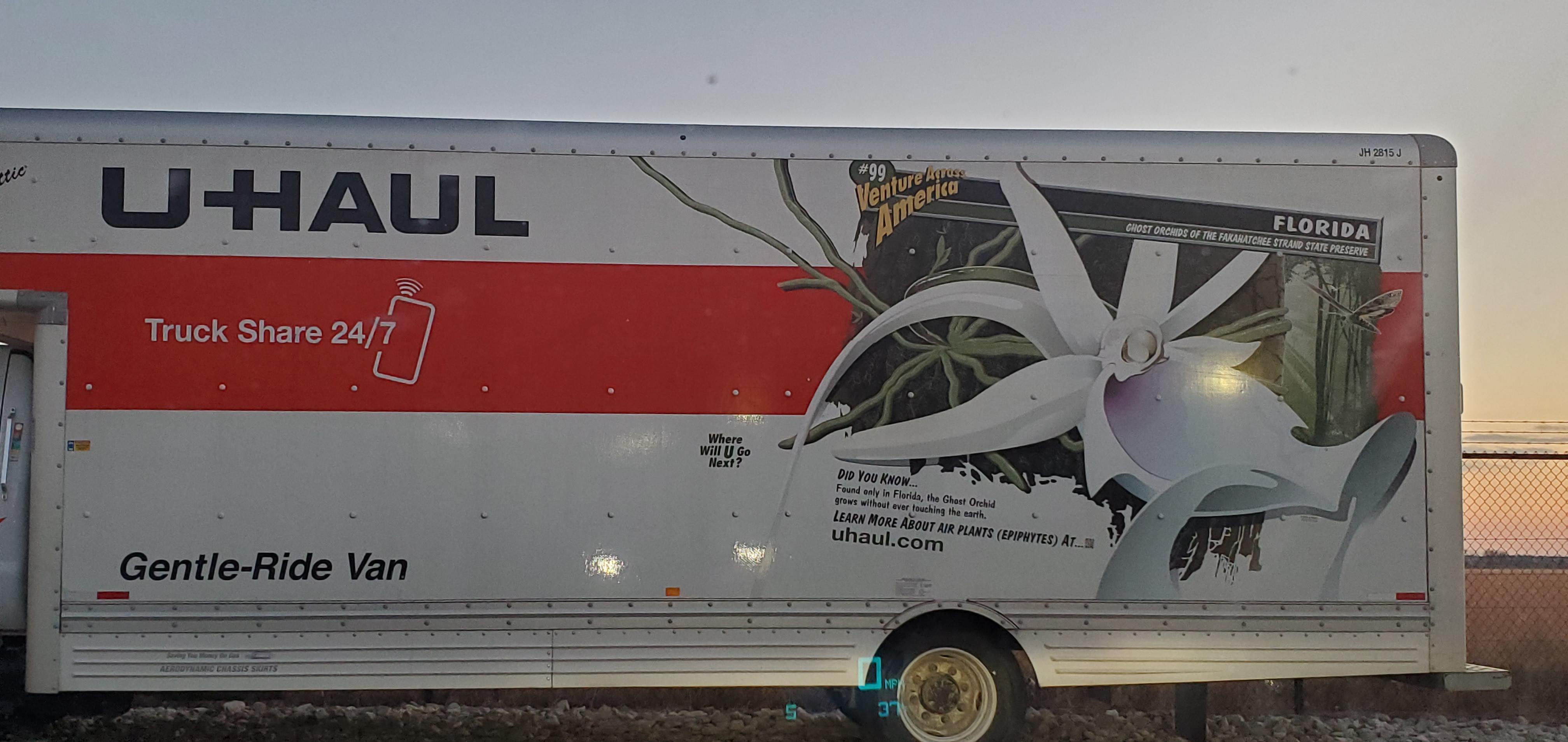 I recognized the flower before I read it on the truck. I picked a lot