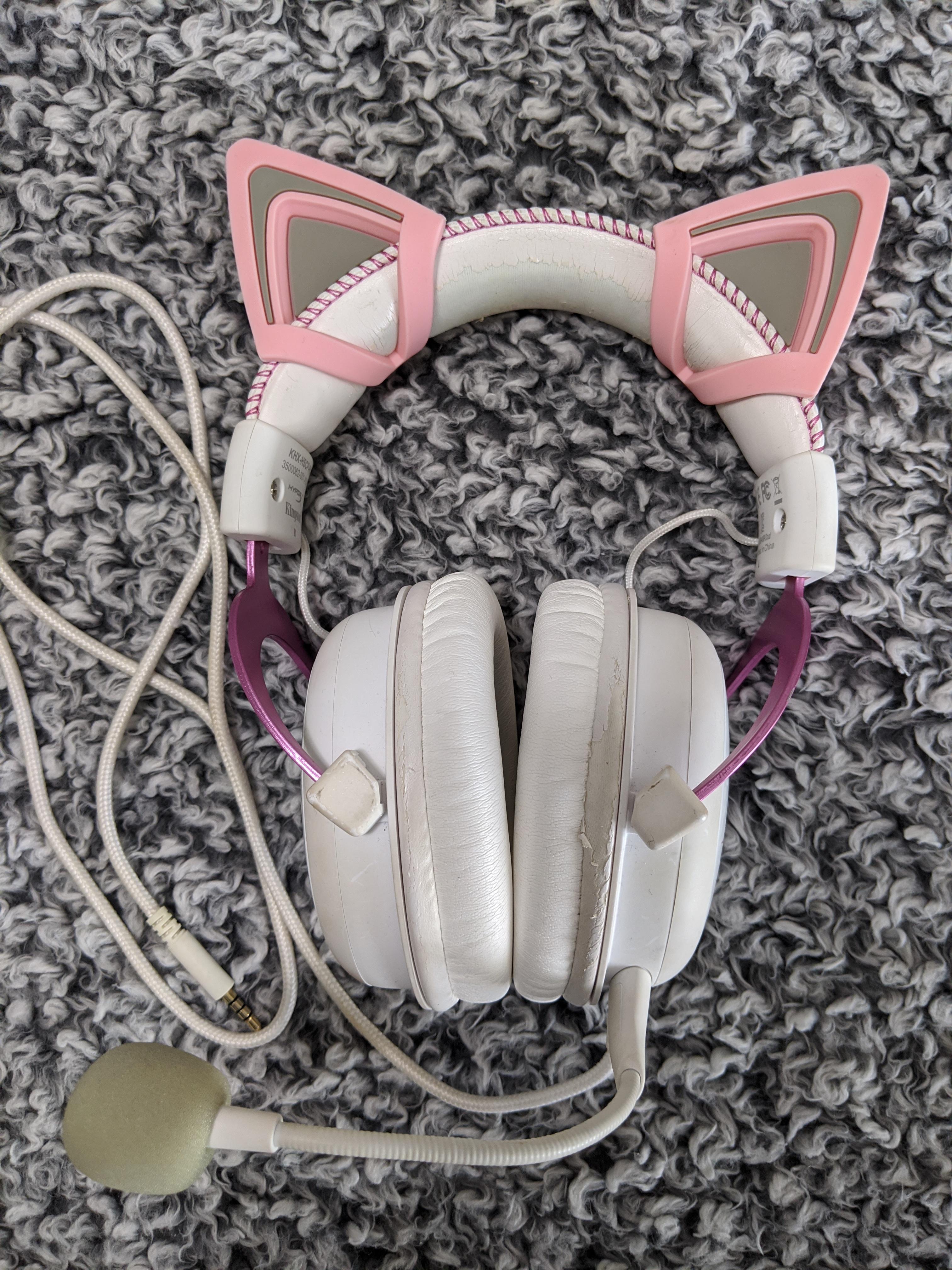 Bought some cat ears for my headset, adds a cute touch to it! r