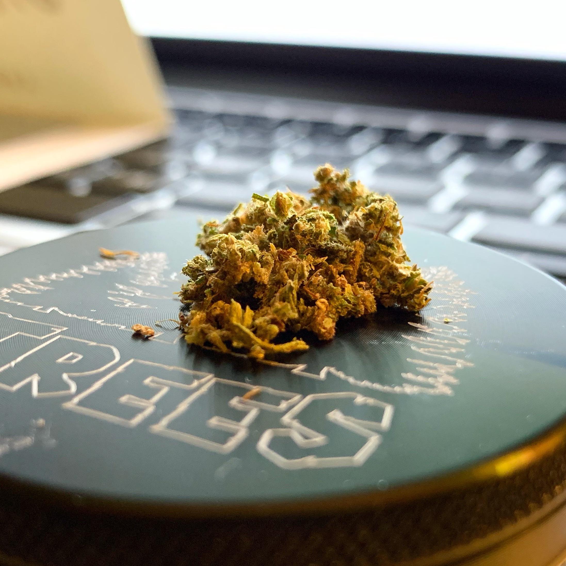 🌲 (ACDC by Fields of Hemp) r/hempflowers