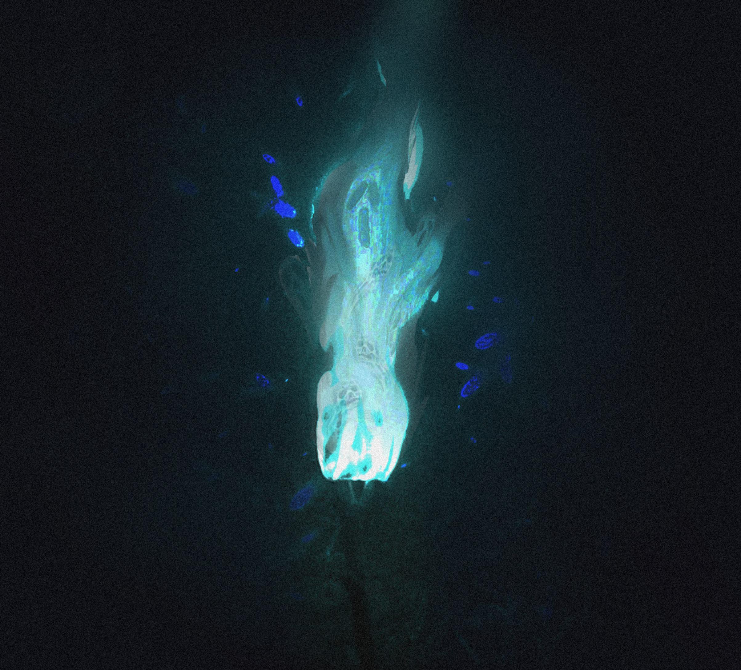 Soul torch? By me) r/Minecraft