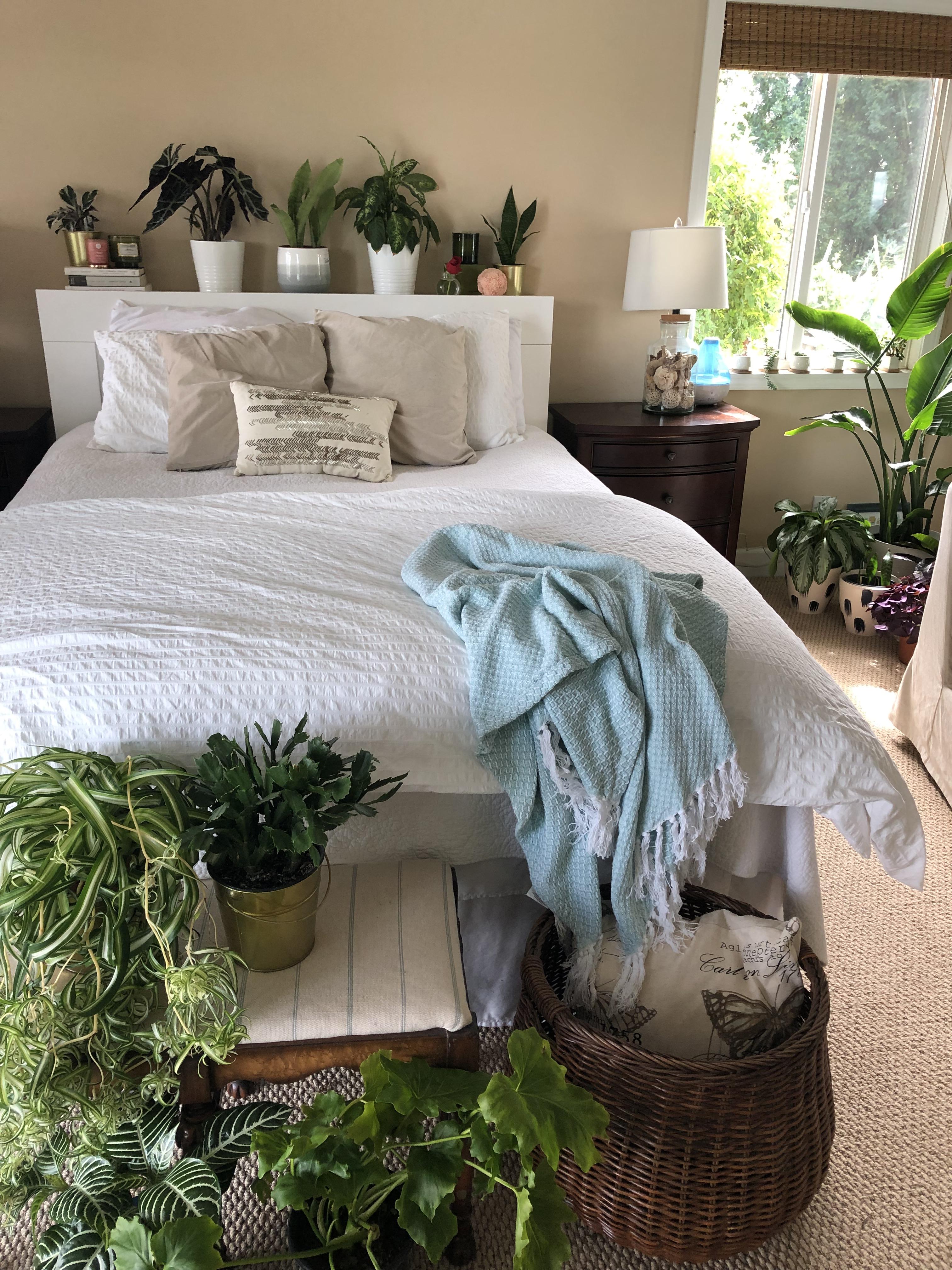 Redid my bedroom to make room for more plants 🤪 r/houseplants