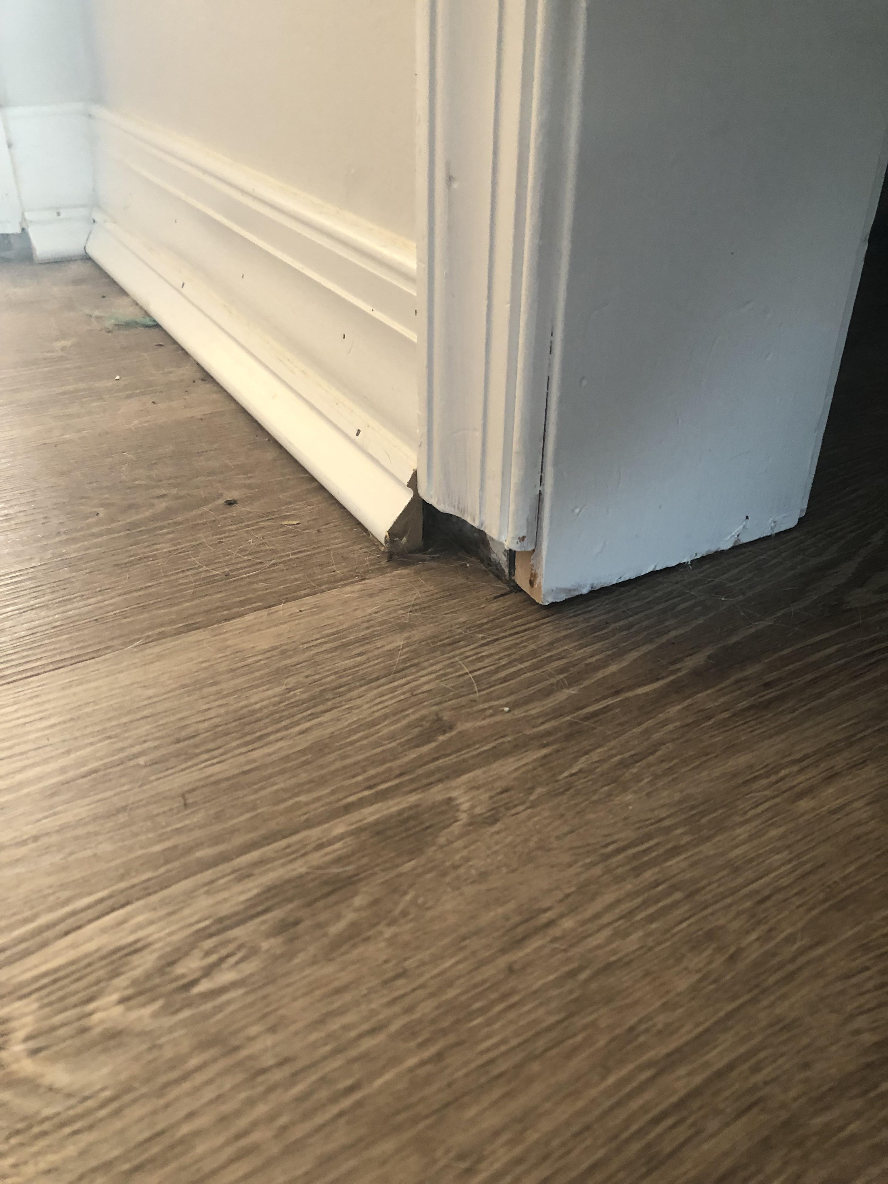 Any solutions to reach the shoe molding depth and cover the gap to the