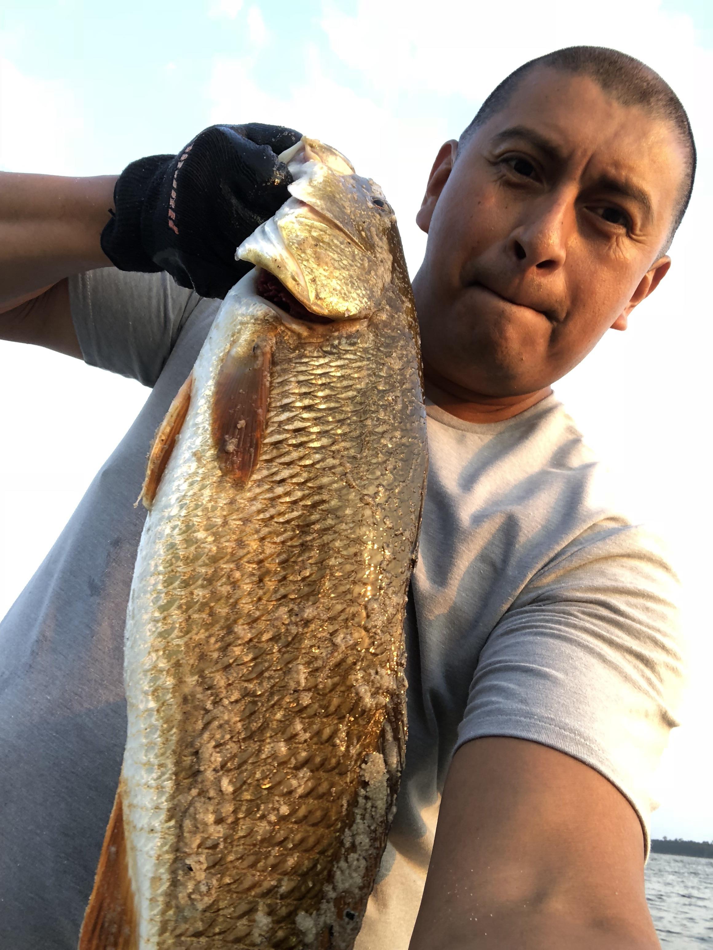 Puppy Drum, Camp Lejeune North Carolina r/Fishing