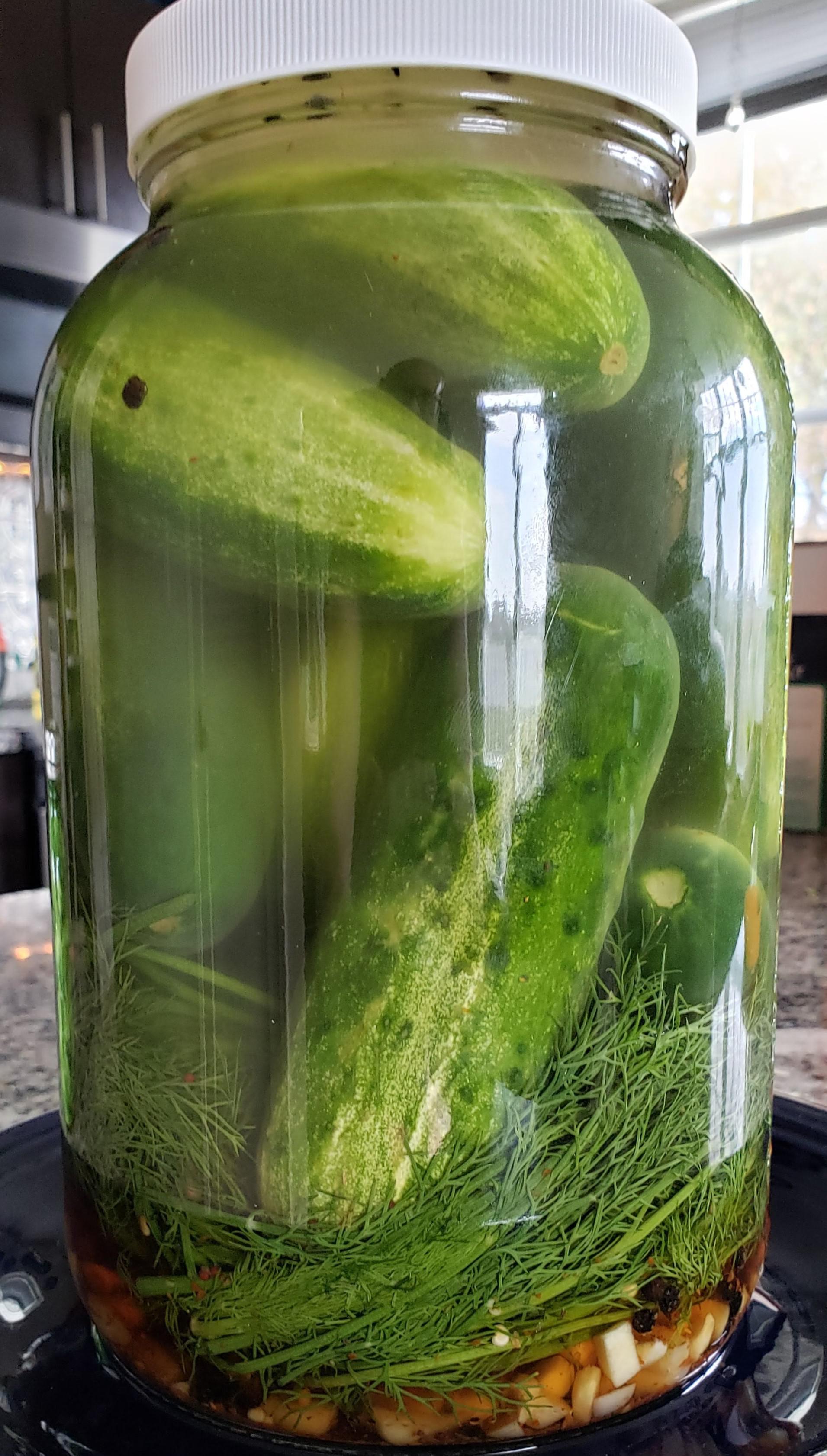 Refrigerator Dill Pickles Recipe Alton Brown malayuews