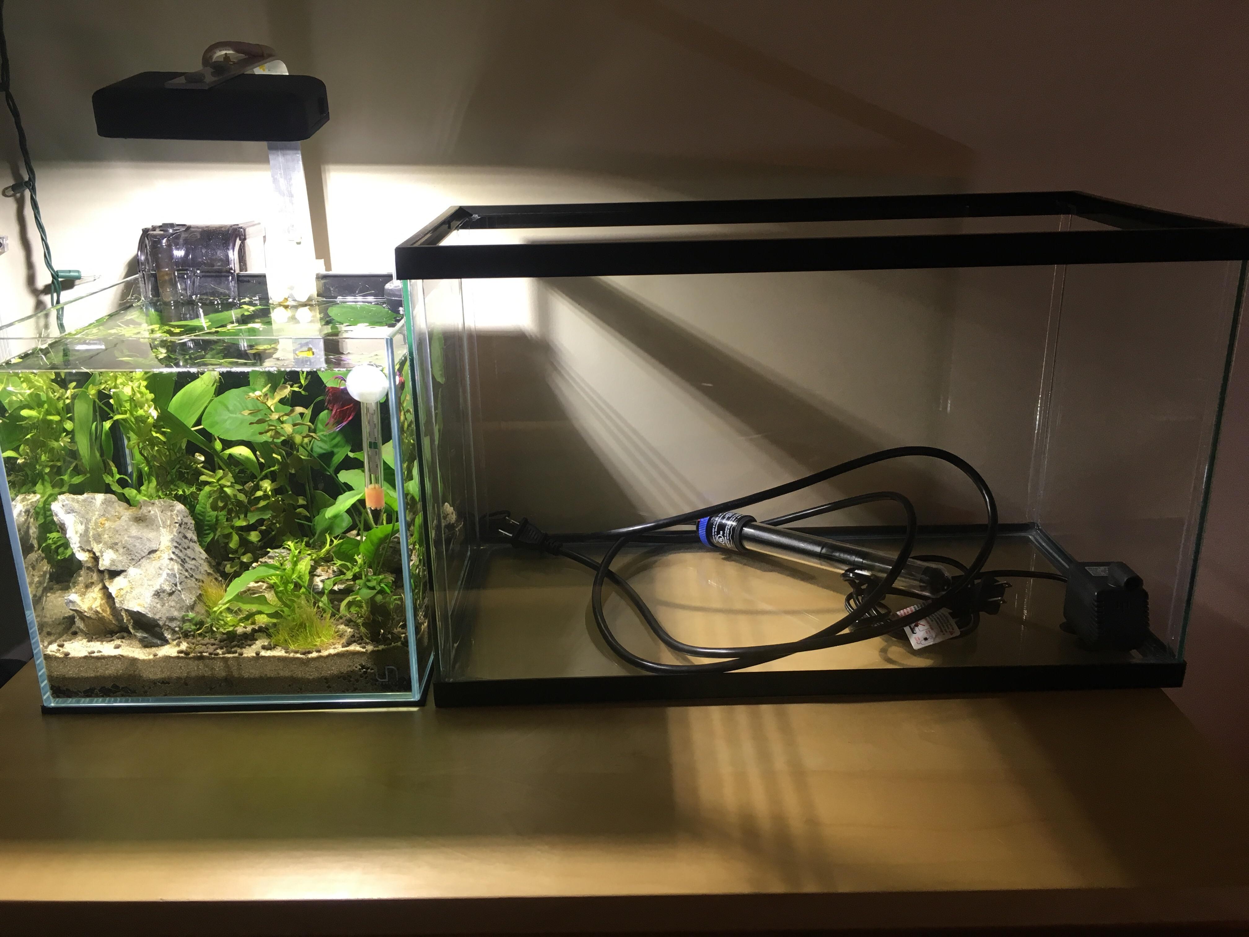 There was a dollar per gallon sale at my local pet store, so naturally