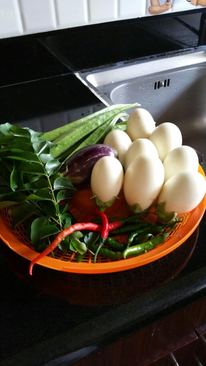 Okra, Purple and white egg plants, curry leaves and chilli gardening