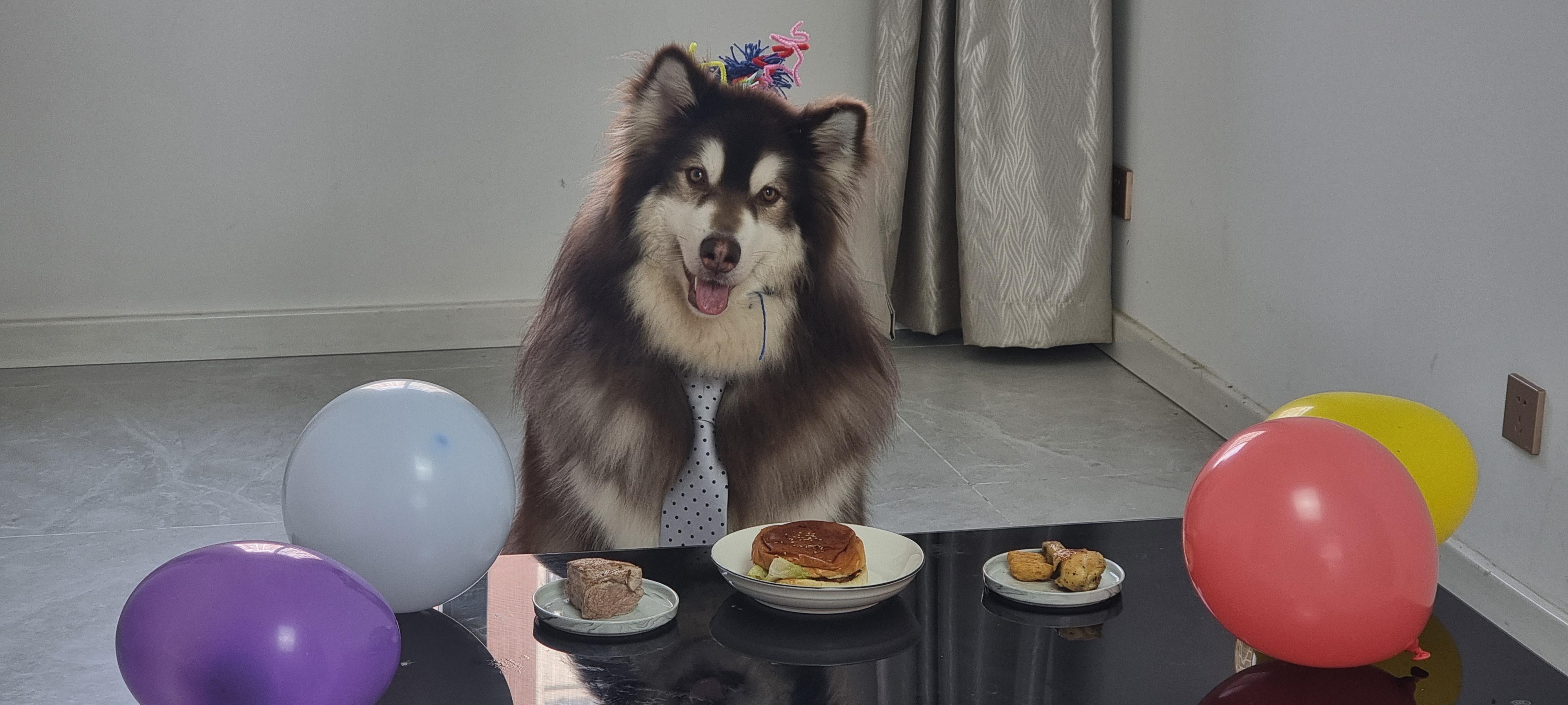 Fluff is 3, ready to eat his 3 favorite foods. Can you guess what he