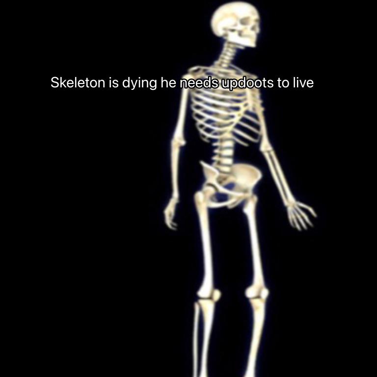 what if stands were battle waifus? r/ShitPostCrusaders