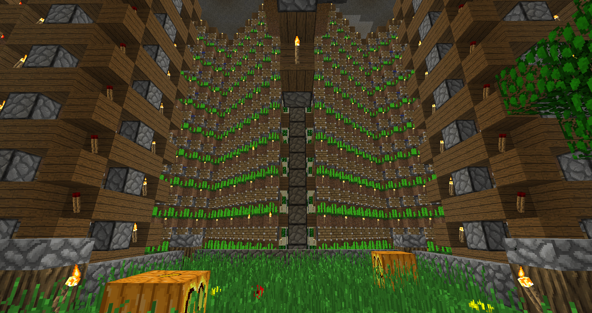 My underground farming area which includes 2 halves of the sugar cane