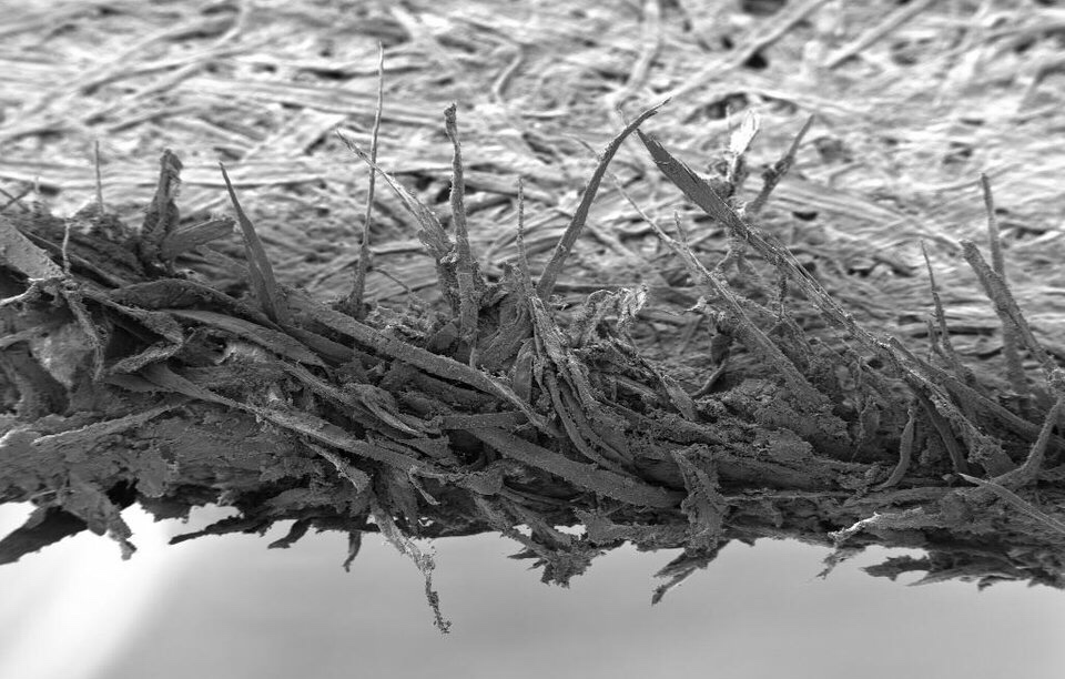 Human Hair Under Microscope 1000x Micropedia