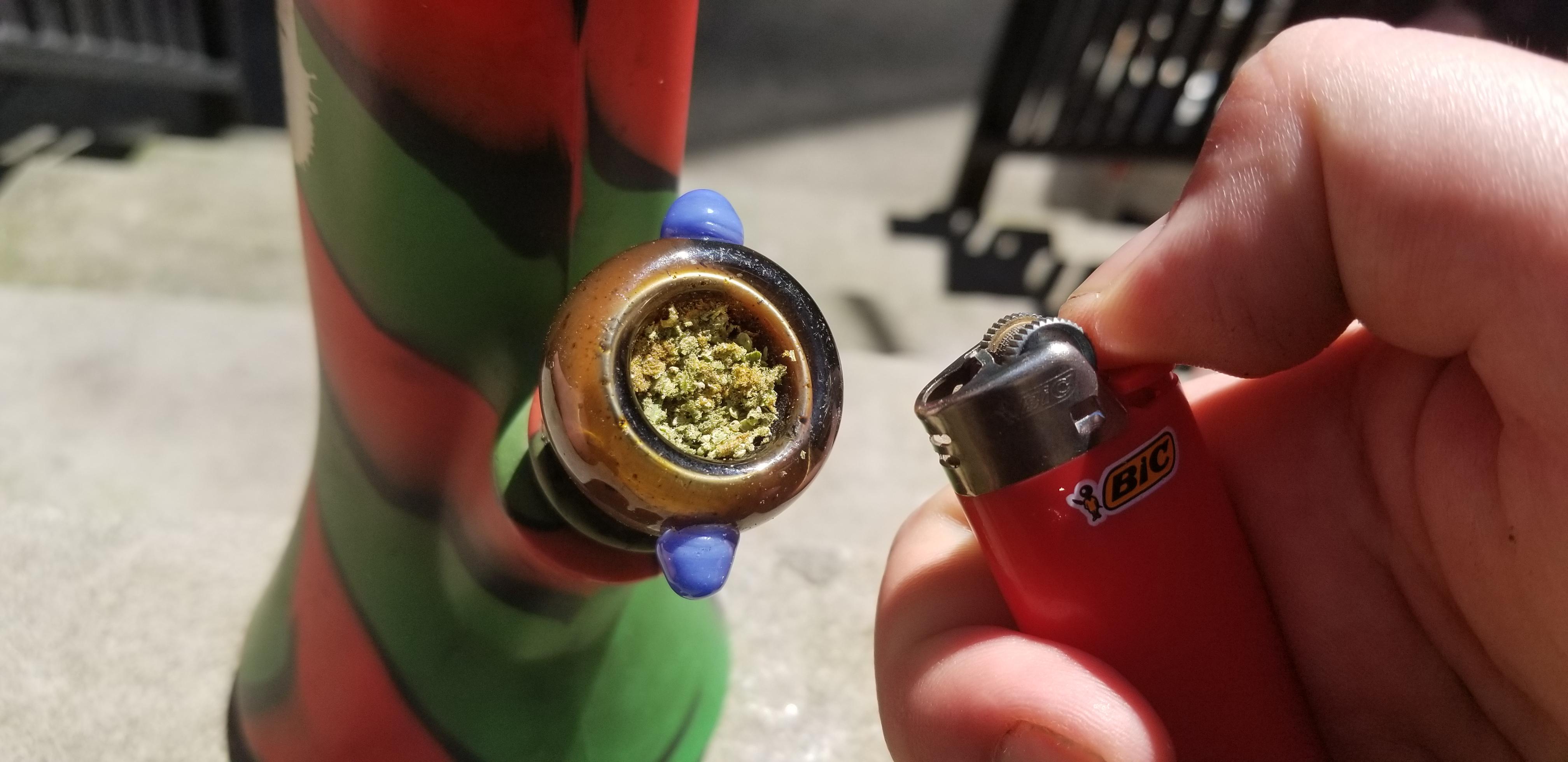 Ive decided to burn all my weed! : r/pics