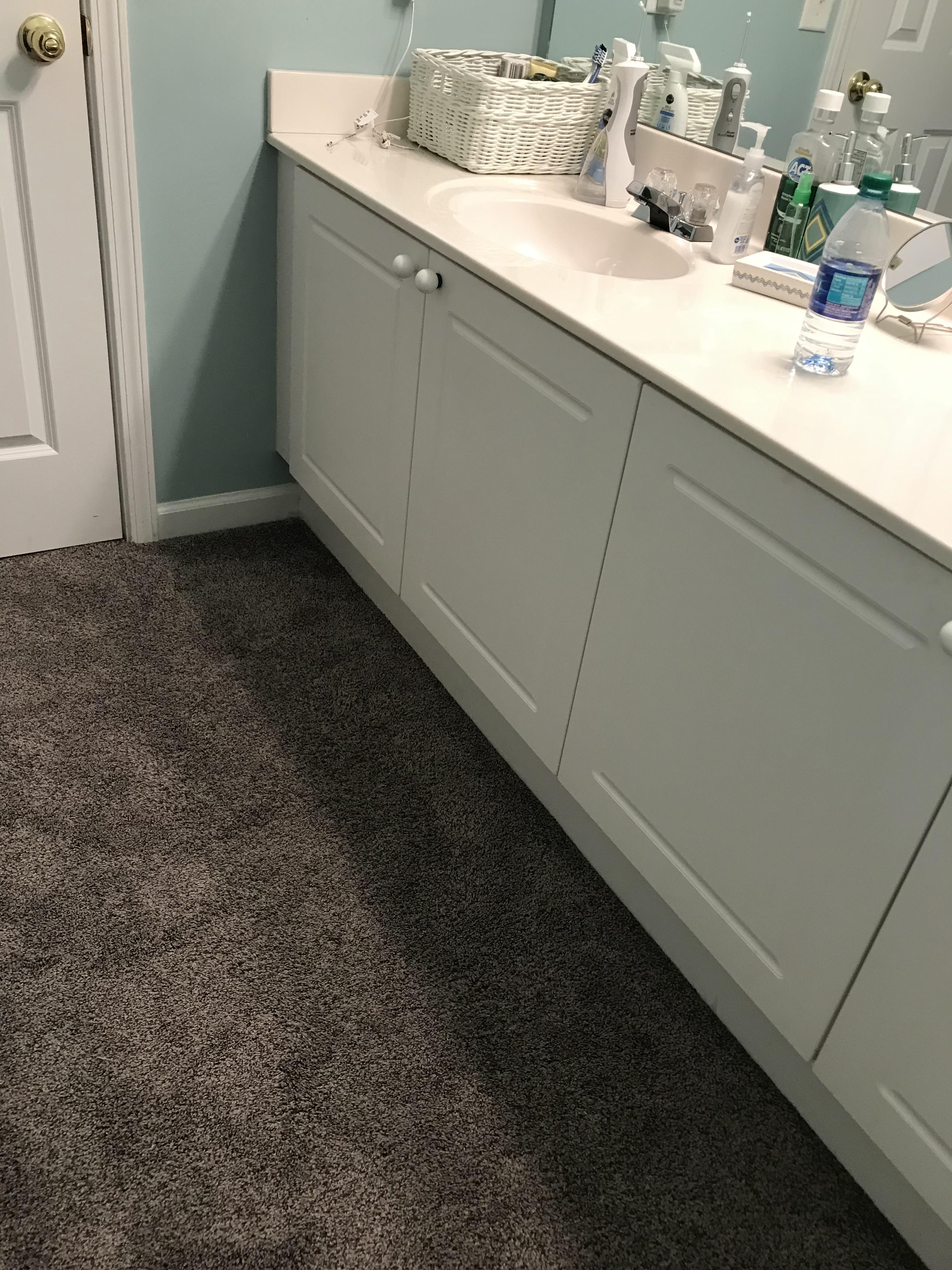 A carpeted bathroom r/mildlyinfuriating