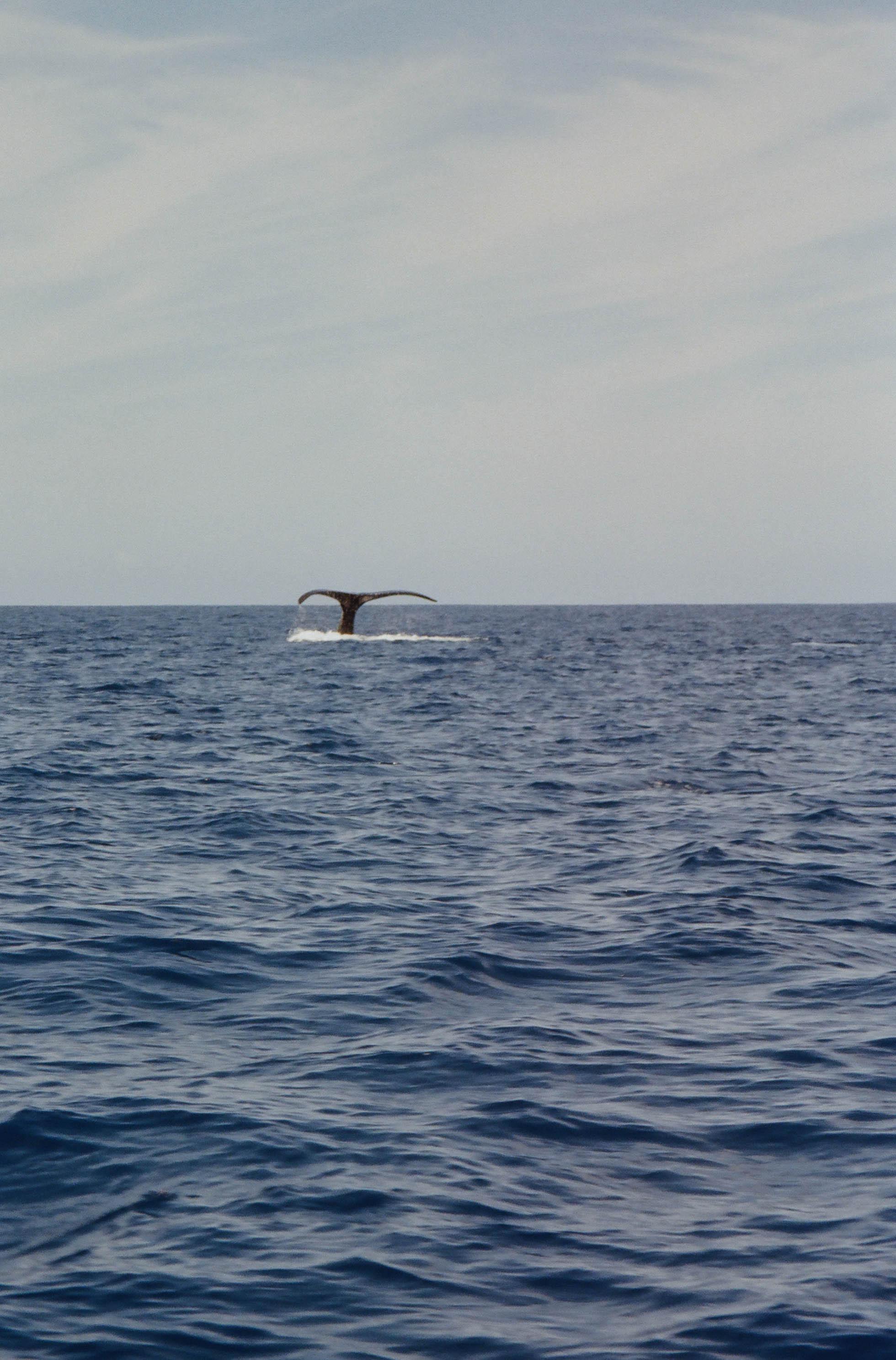 | Canon Sure Shot 115u - Lomo 100 | : r/analog