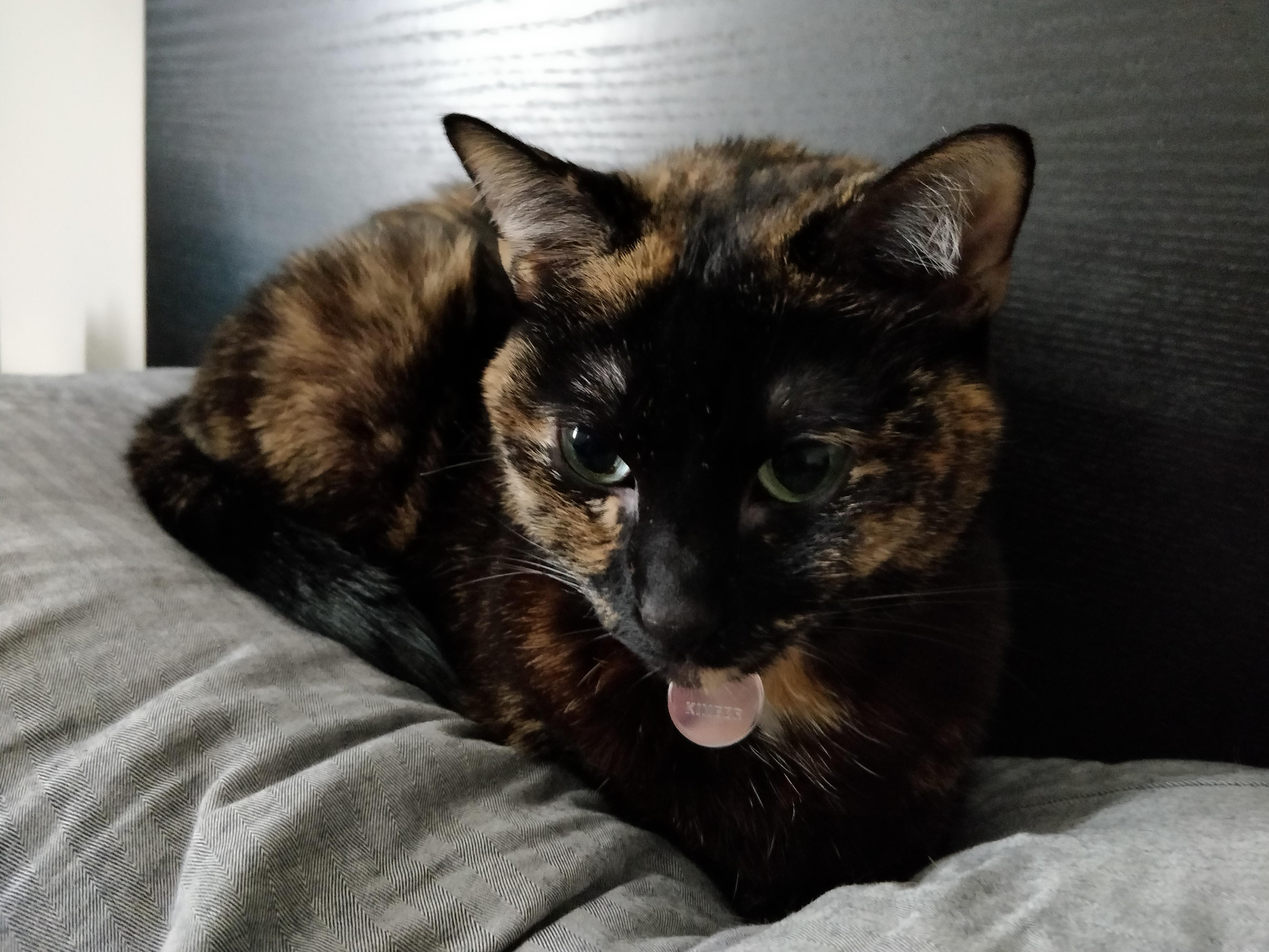 I say it's my pillow, she says it's her pillow. We compromised and it's