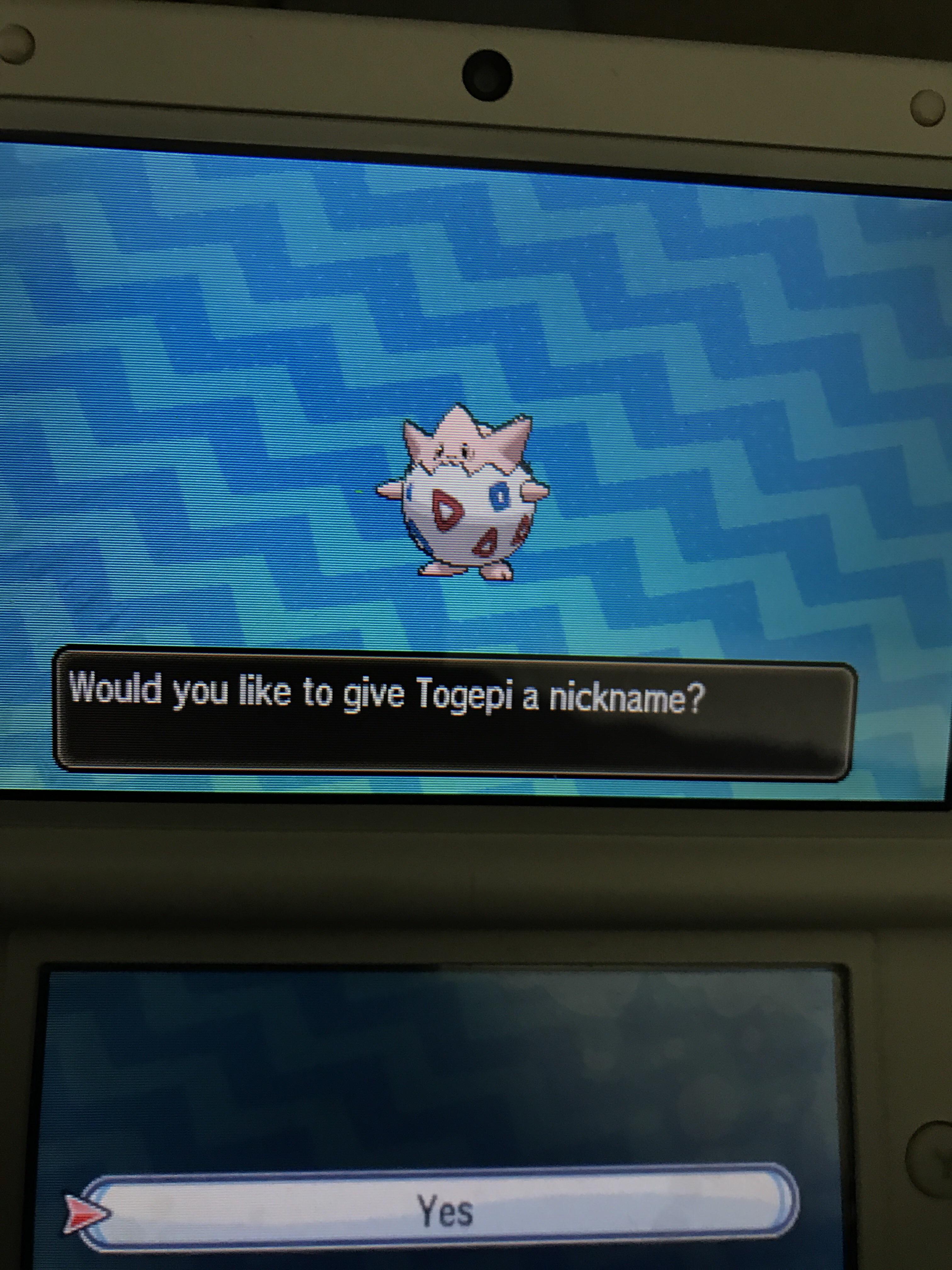 Shiny Togepi Vs Normal Togepi