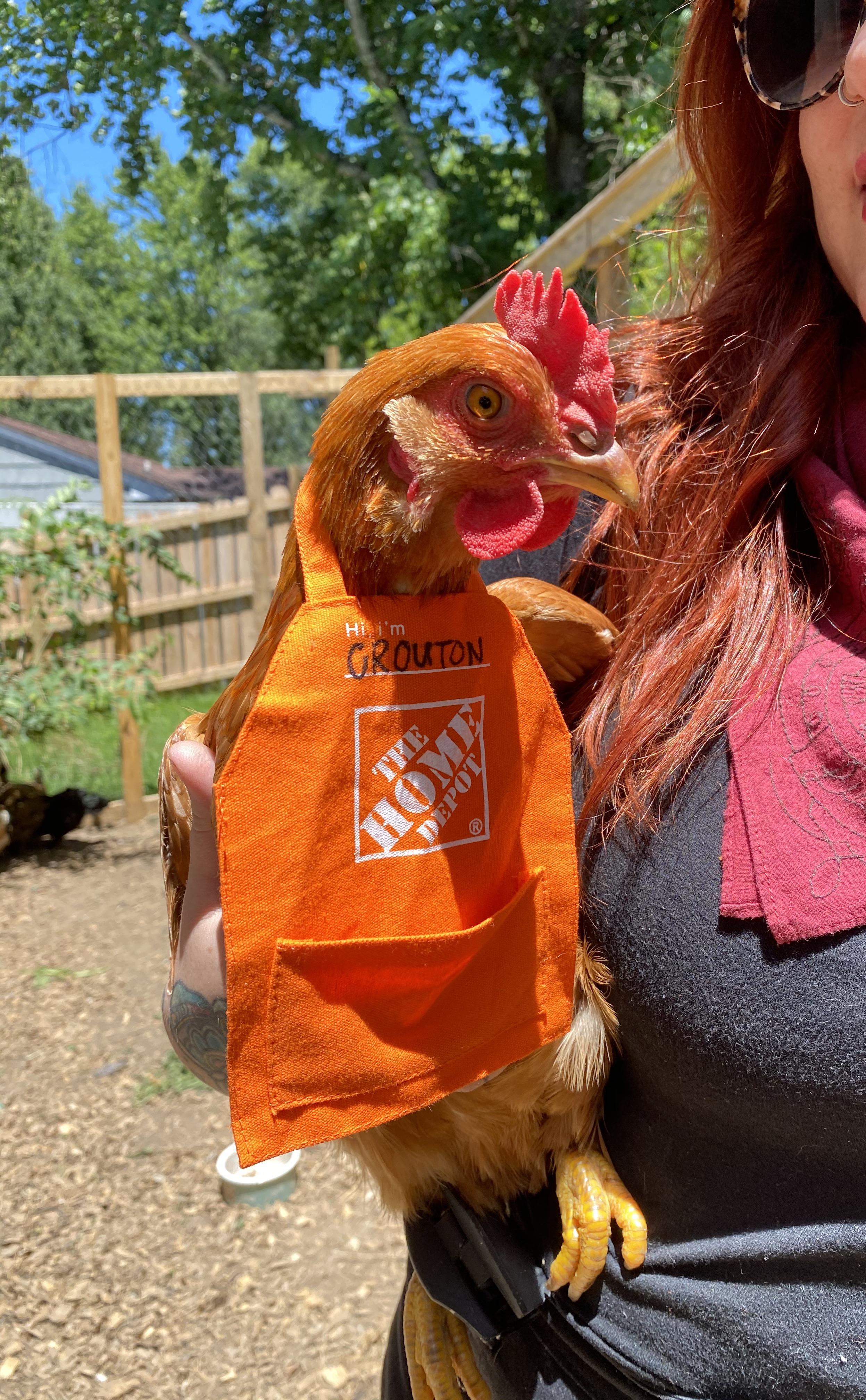 Life pro tip Home Depot gift card aprons fit chickens r/BackYardChickens