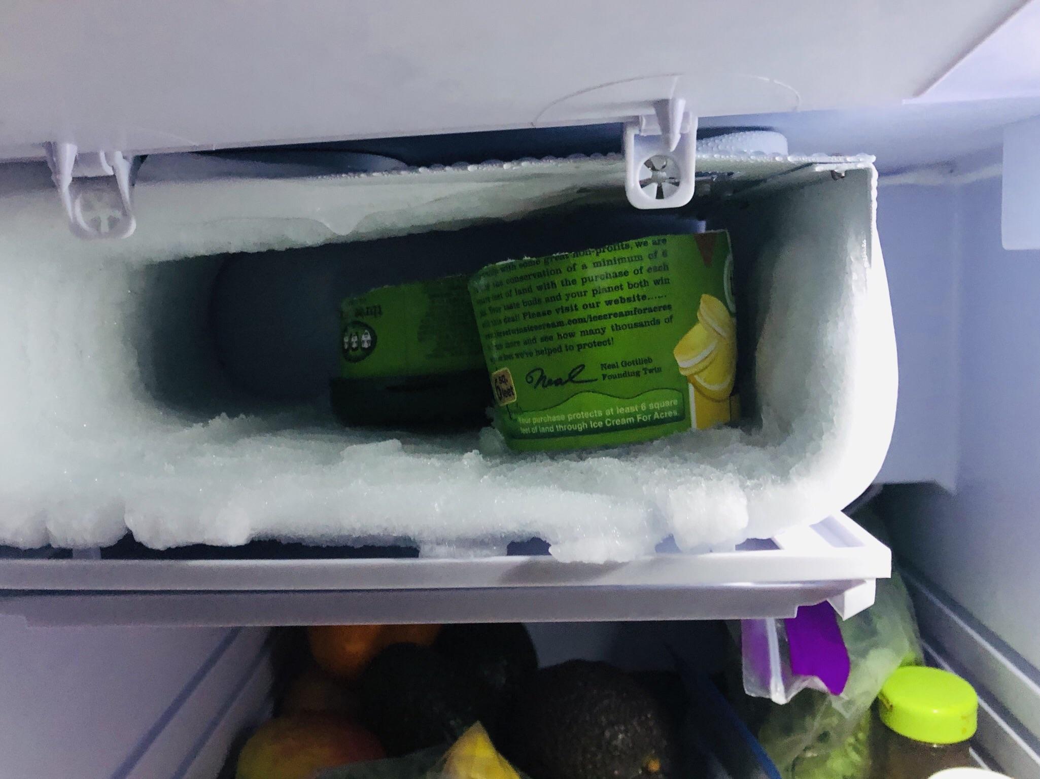 Your freezers too small for ice cream they said.. r/vandwellers