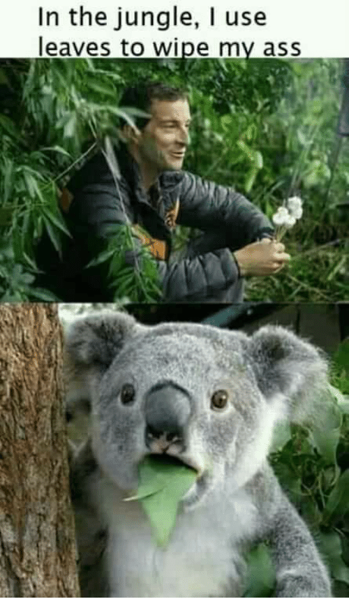 In the forest... r/funny