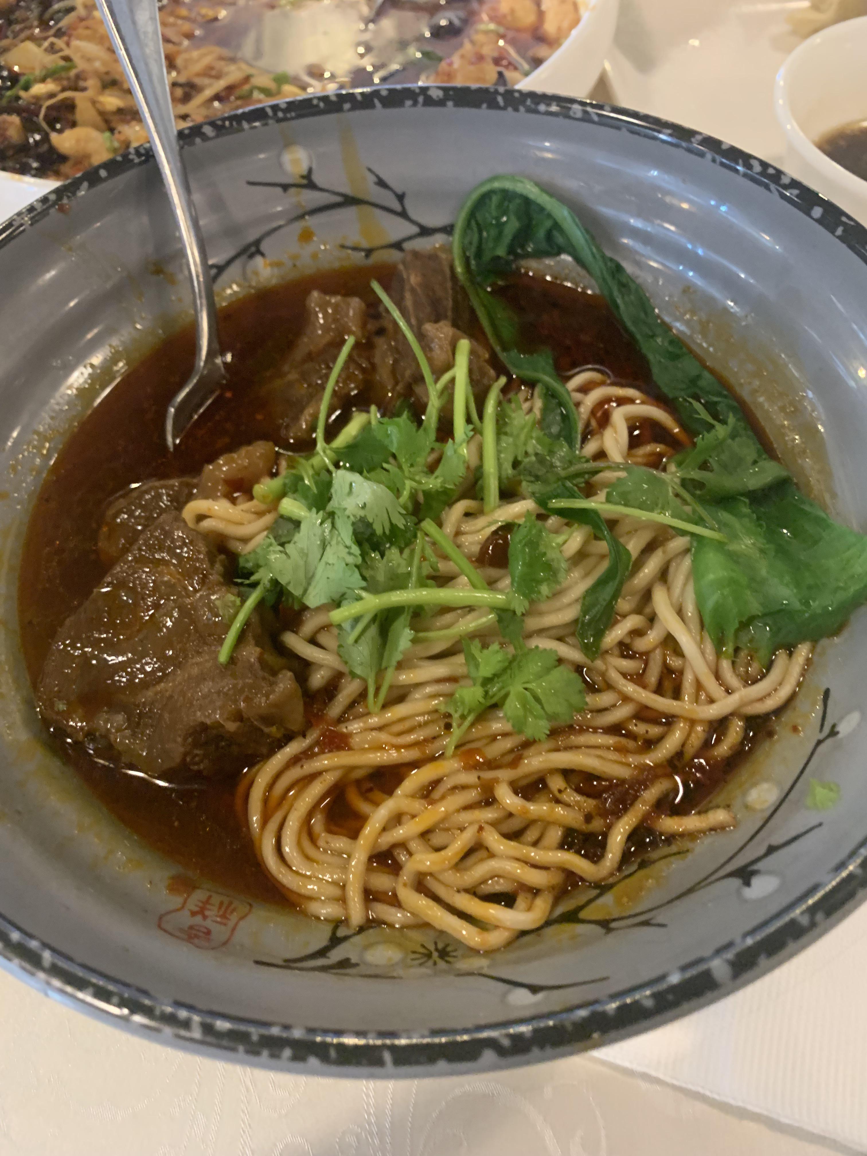 Super spicy Sichuan Beef Noodle Soup r/beefnoodlesoup