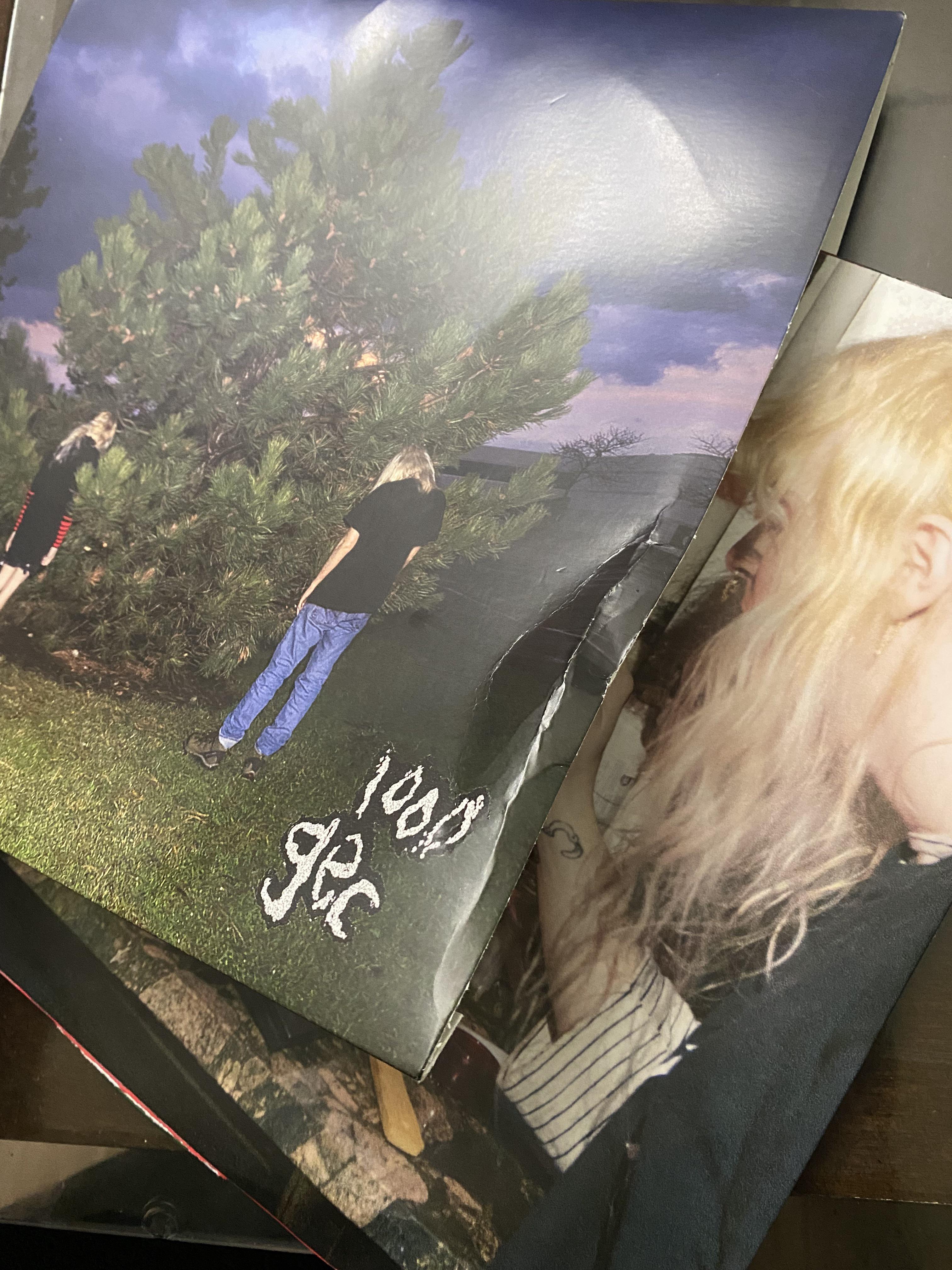 I’m about to throw my phone into a lake r/100gecs