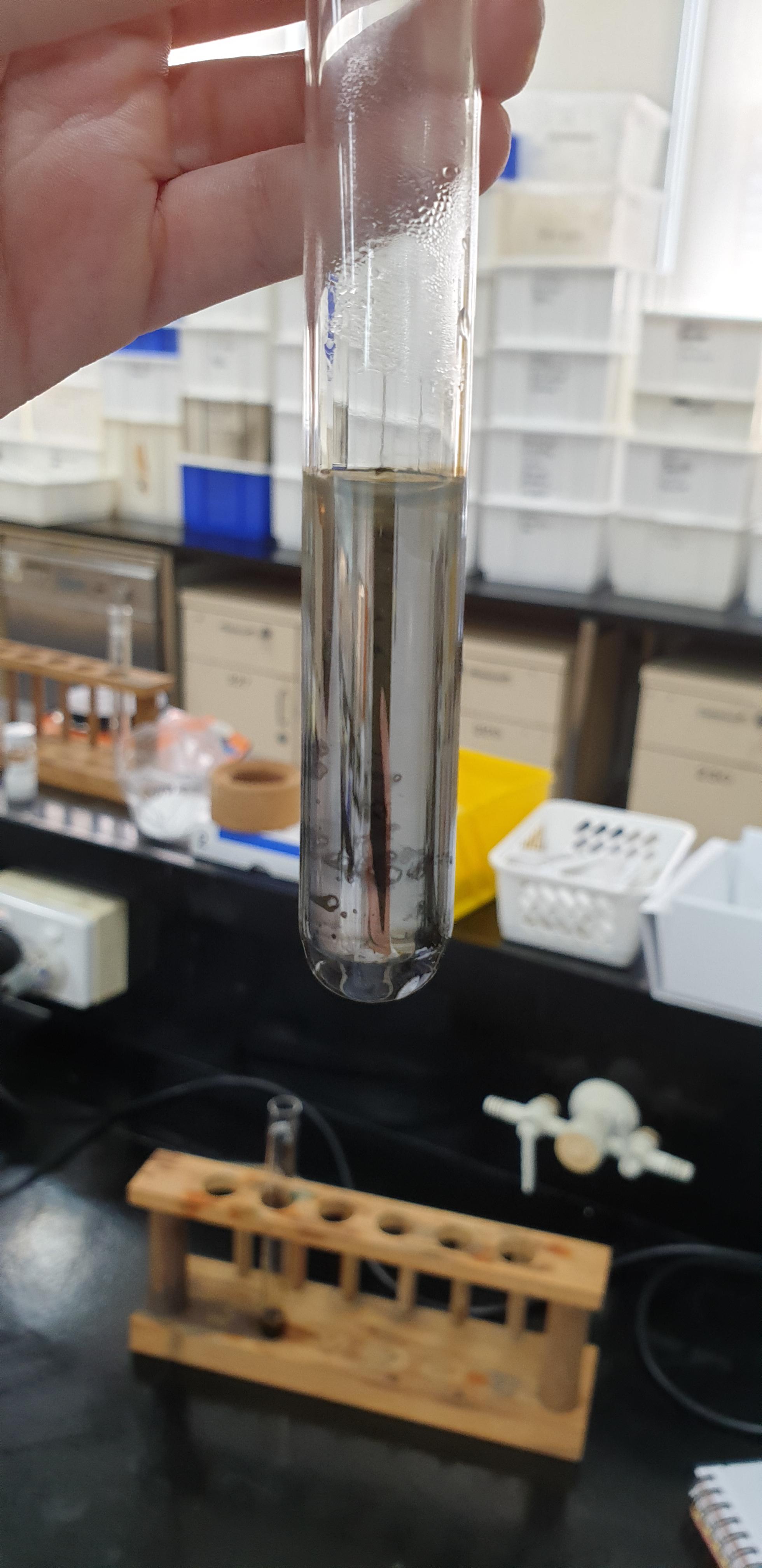 My first Tollens' test and I got a reflective mirror I'm so pumped! r