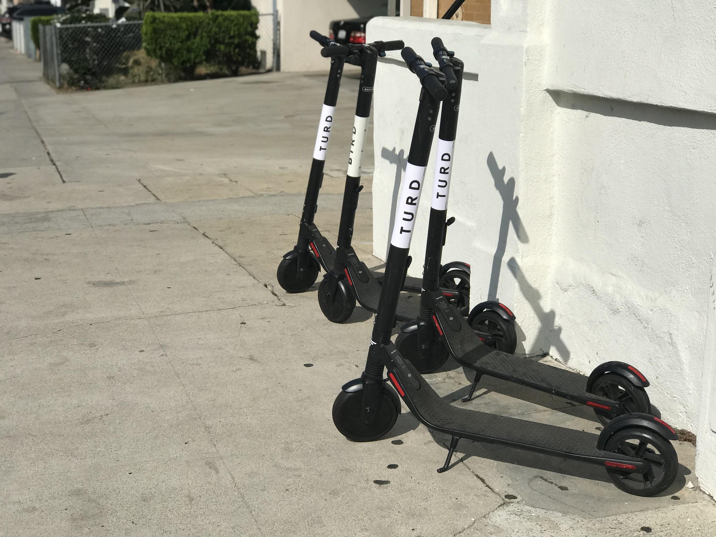 Bird scooters are being rebranded. r/mildlyinteresting