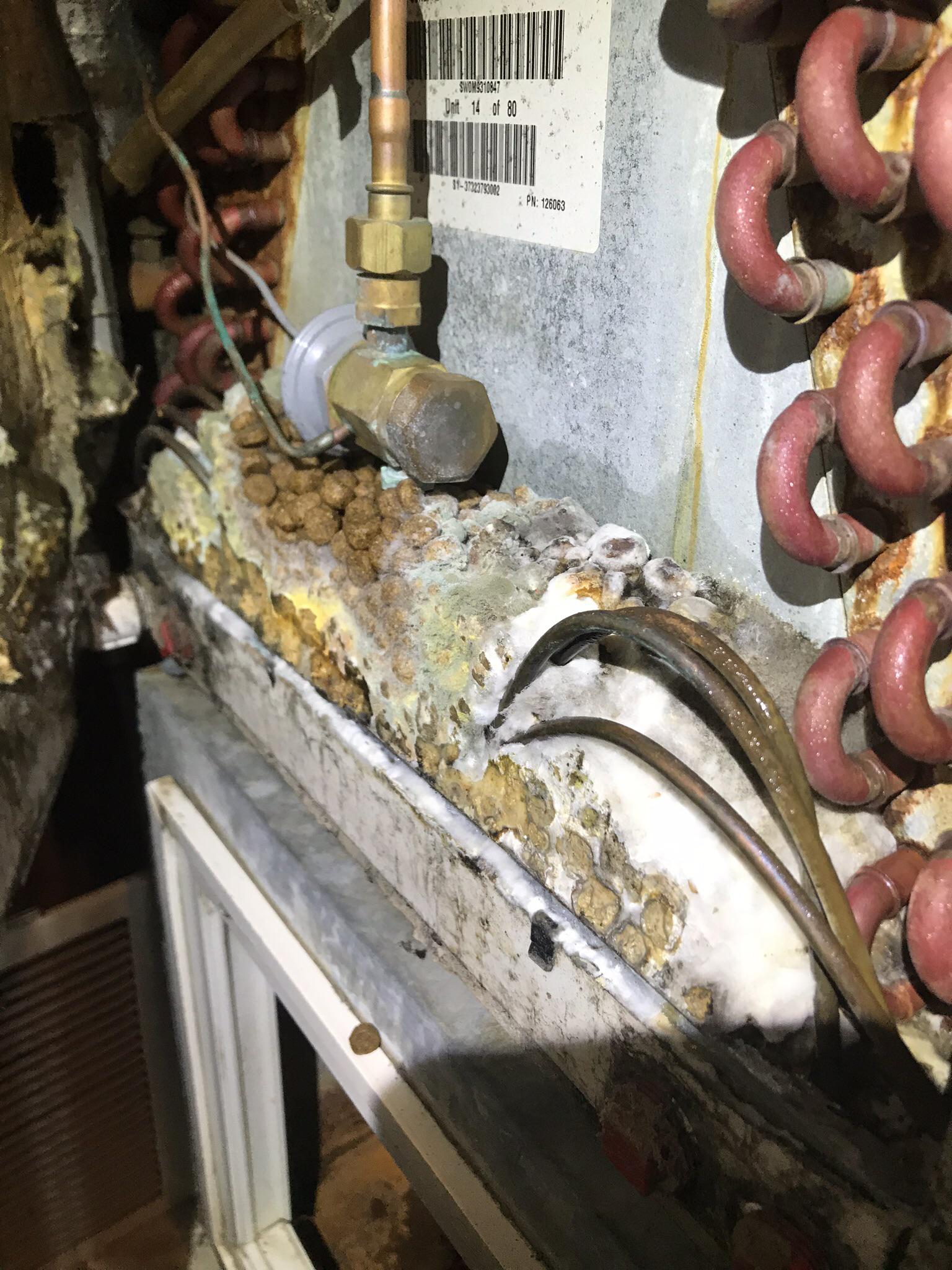 Found the clog in the condensate drain r/HVAC