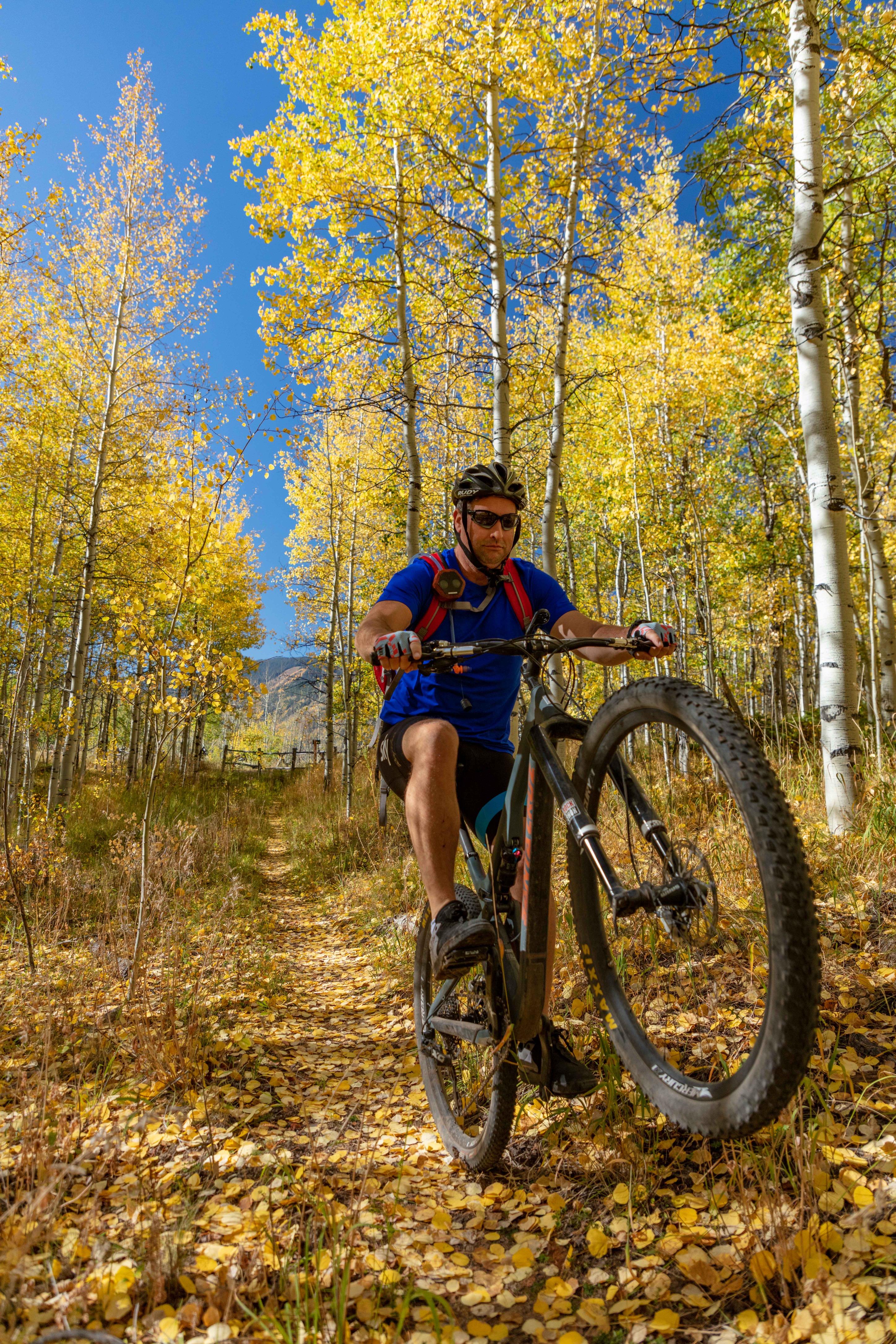 Mountain Biking though the changing colors in Aspen, Colorado r