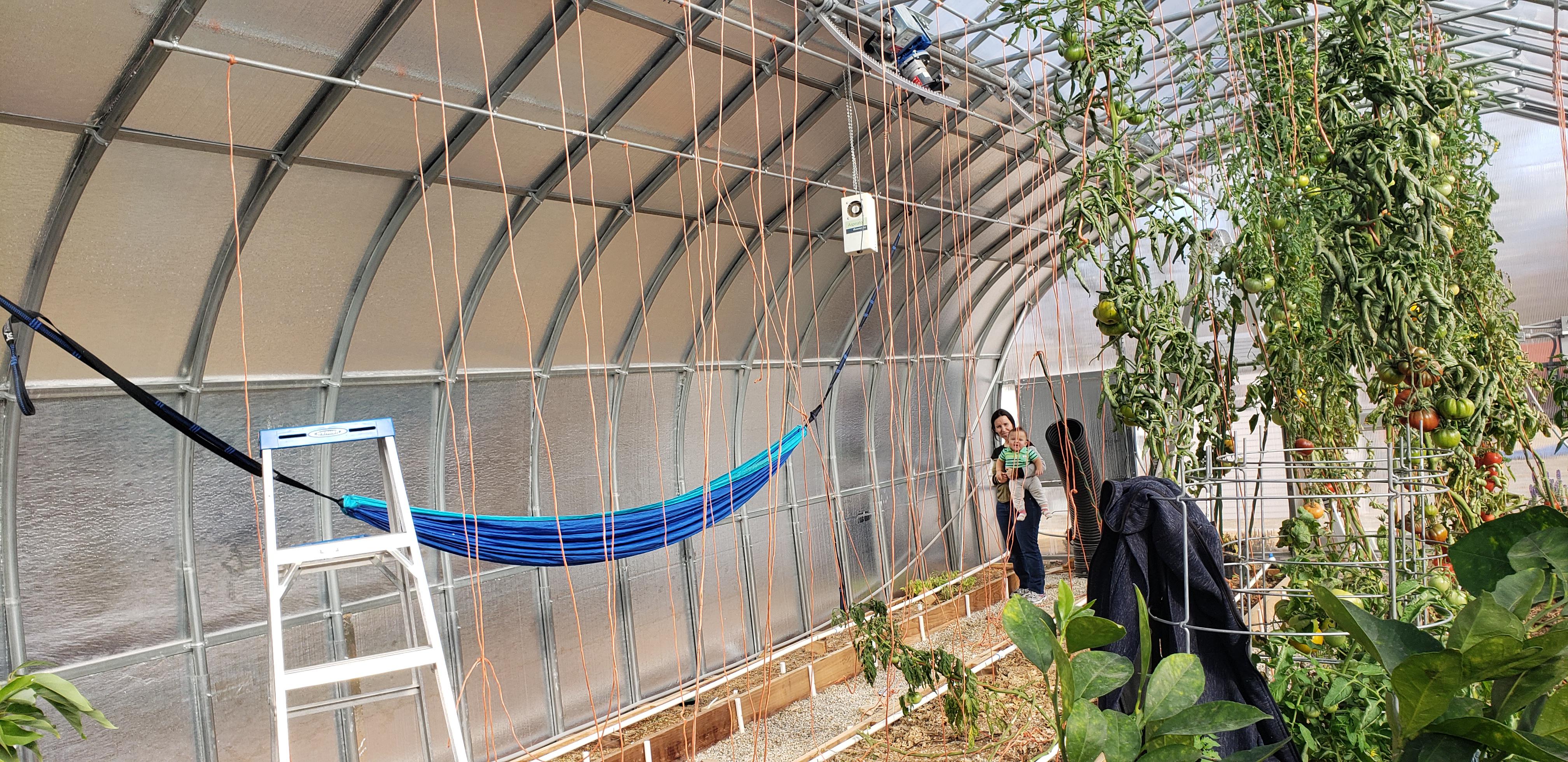 Greenhouse Wall Material