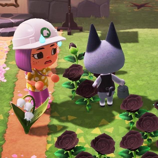 AITA Caught Raymond watering my black roses with a nongold watering
