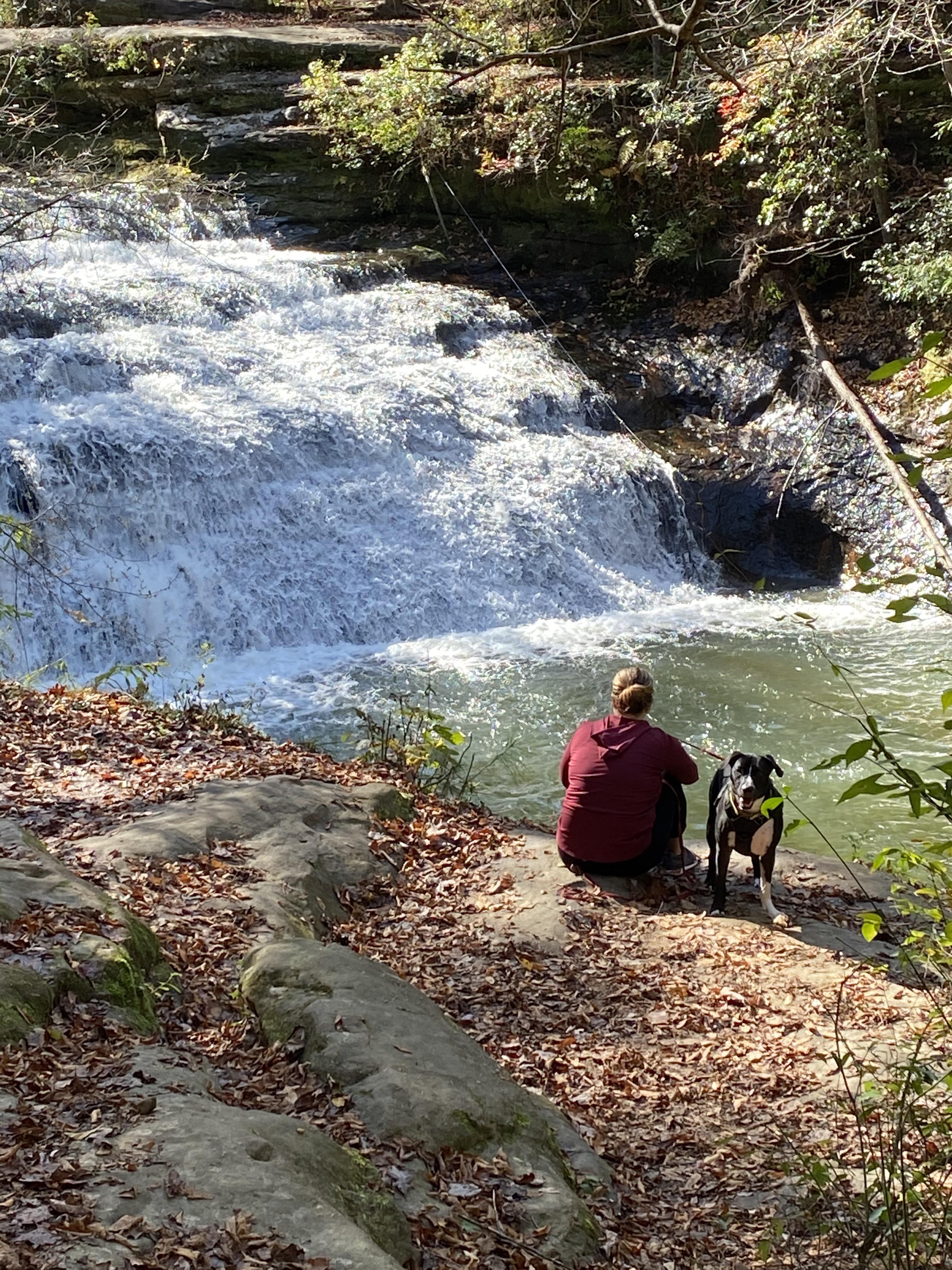 Kinlock Falls, Sipsey Wilderness, Alabama, USA r/hiking