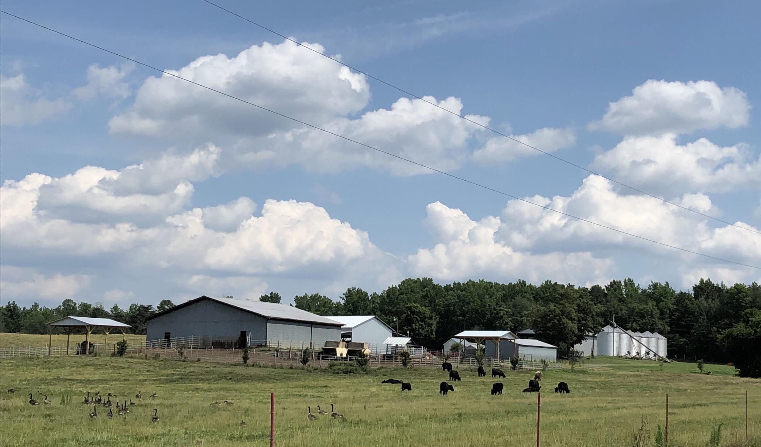 Richfield, NC Countryside r/NorthCarolina