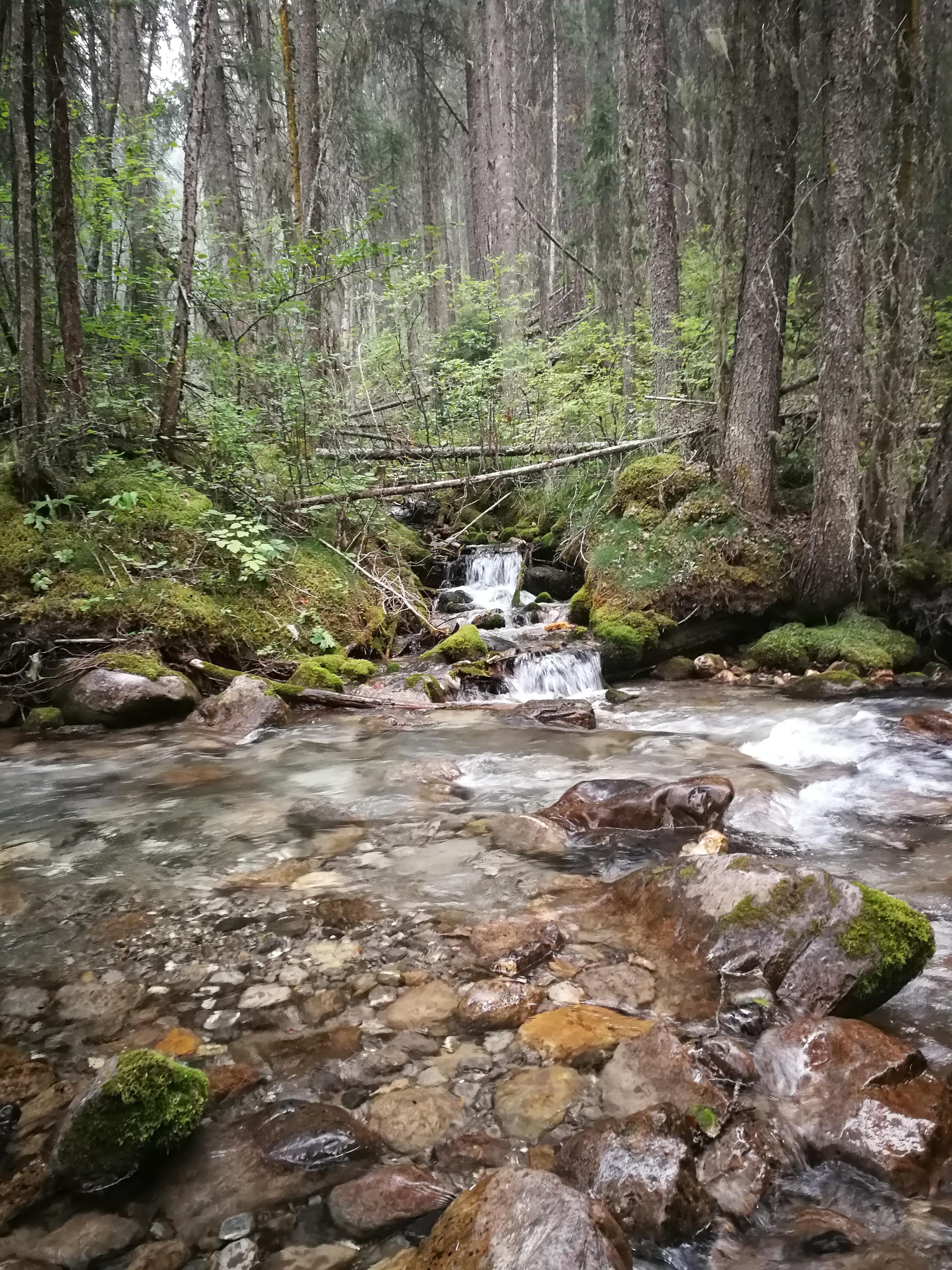 A creek flowing into a river. Radium Hot Springs, BritishColumbia [OC